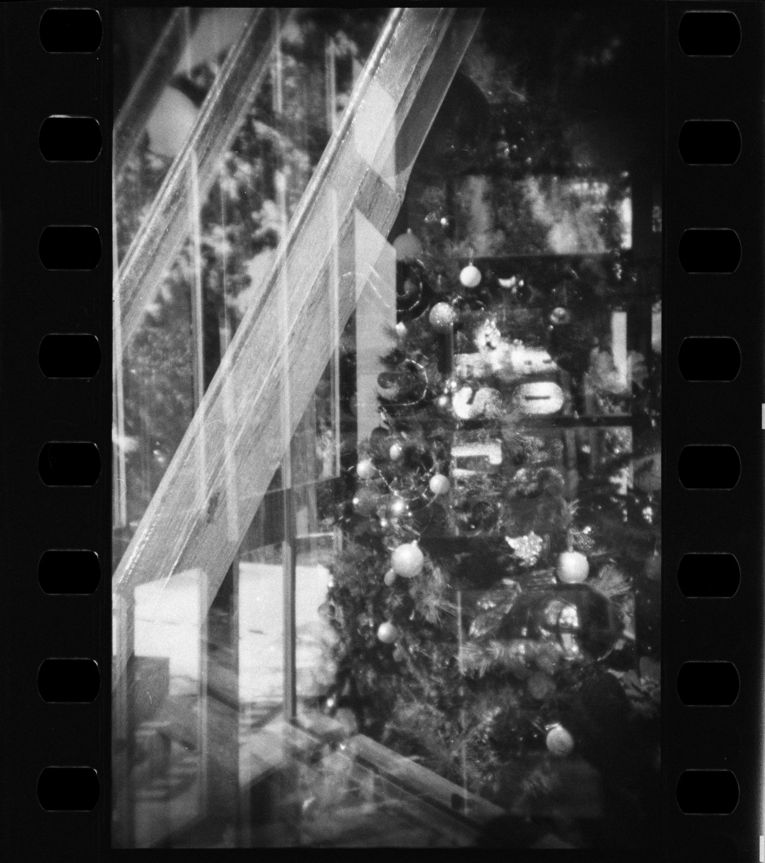 Campos_Holga_135FC_06-1.jpg