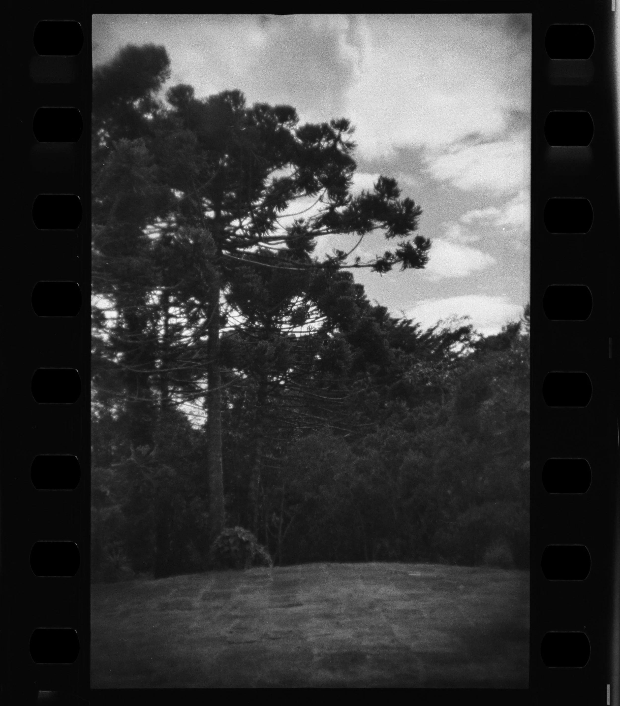 Campos_Holga_135FC_07-1.jpg
