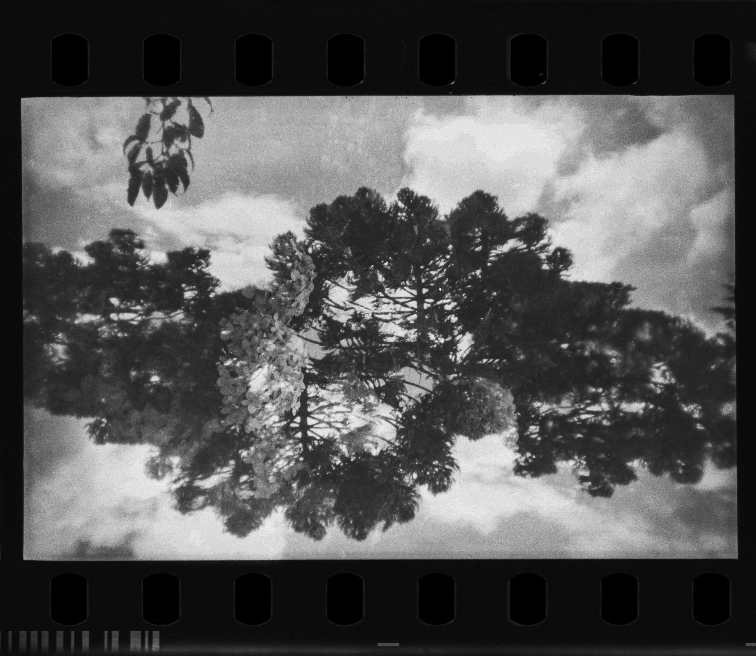 Campos_Holga_135FC_08-1.jpg
