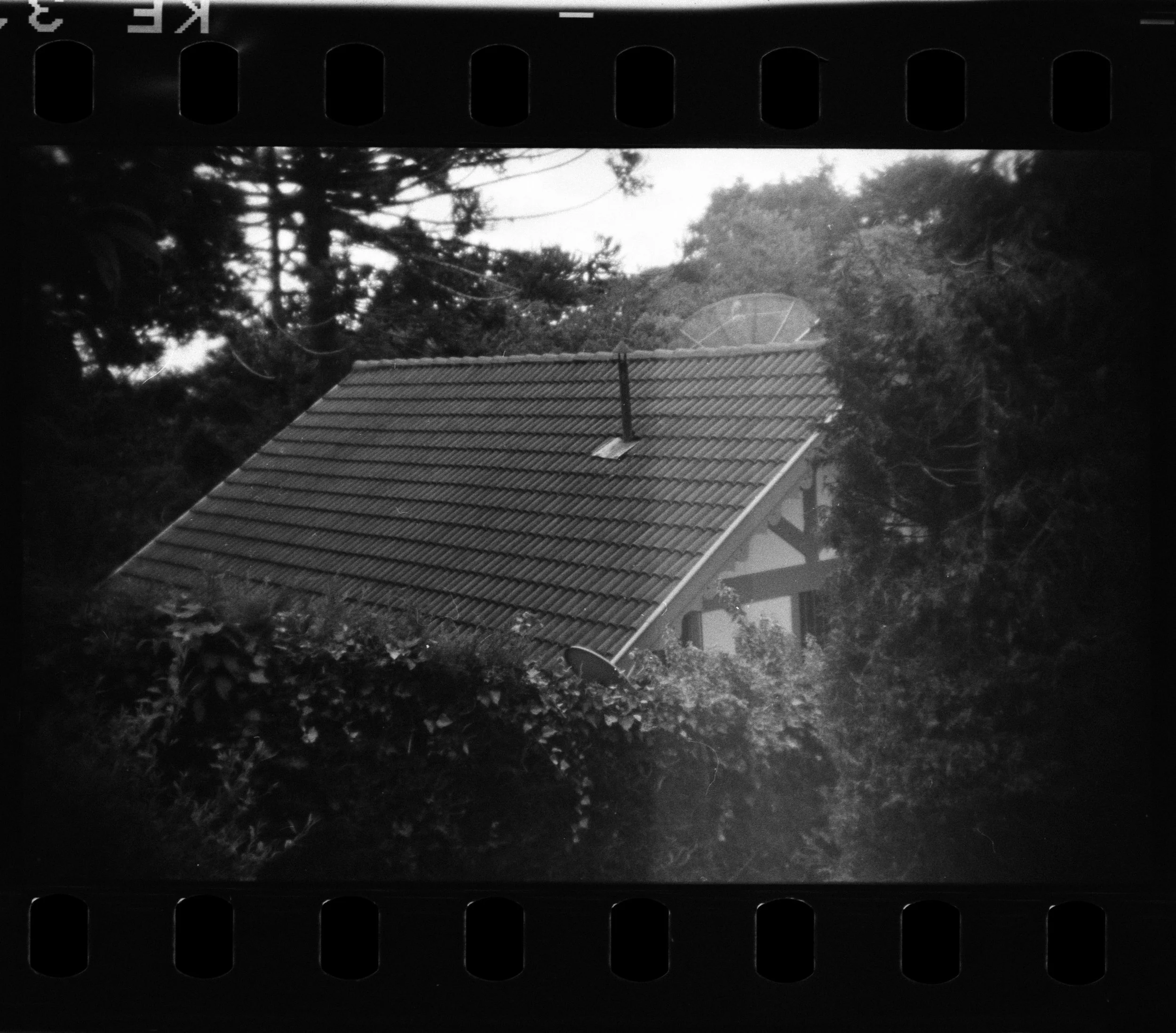 Campos_Holga_135FC_10-1.jpg