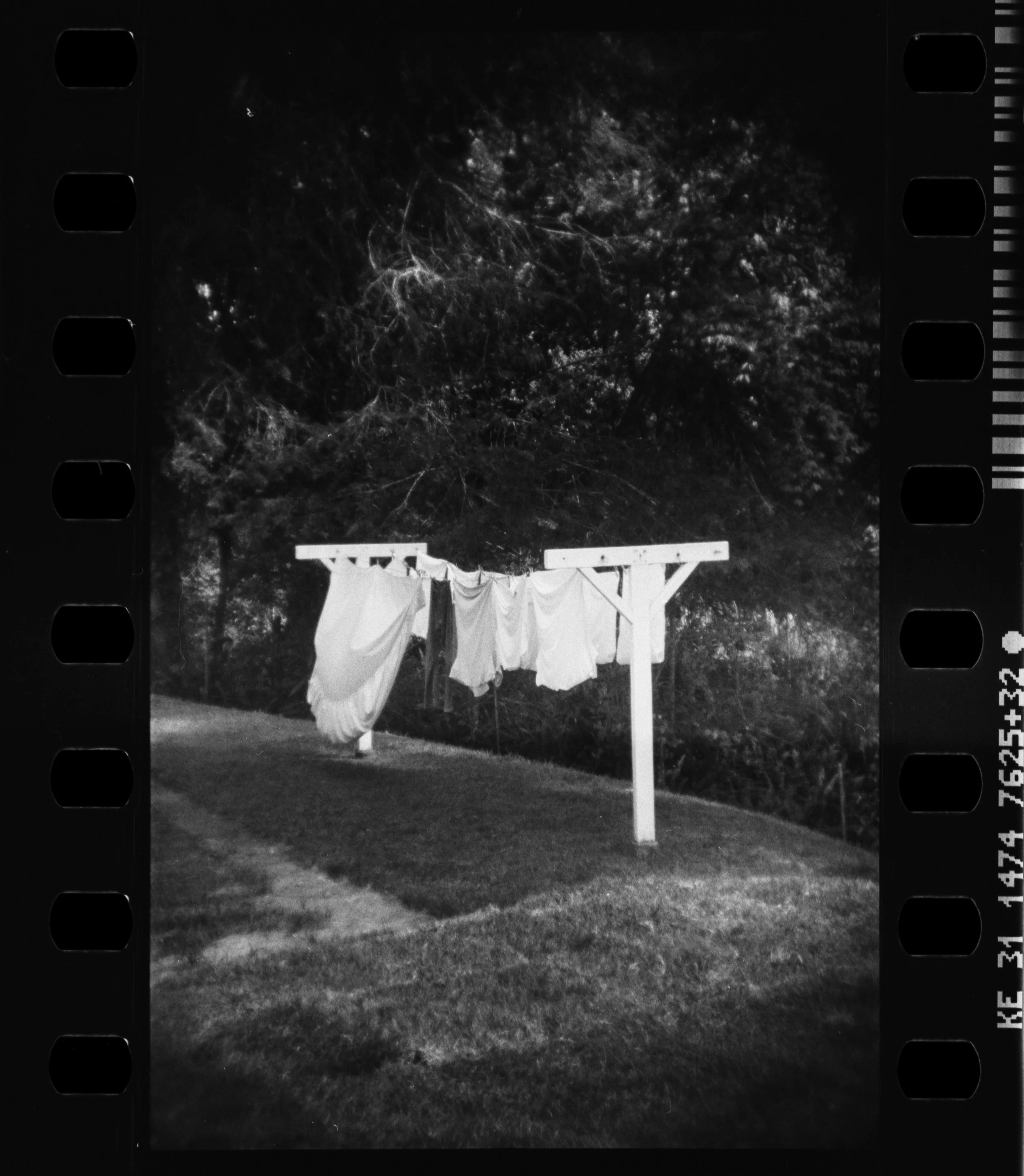 Campos_Holga_135FC_13-1.jpg