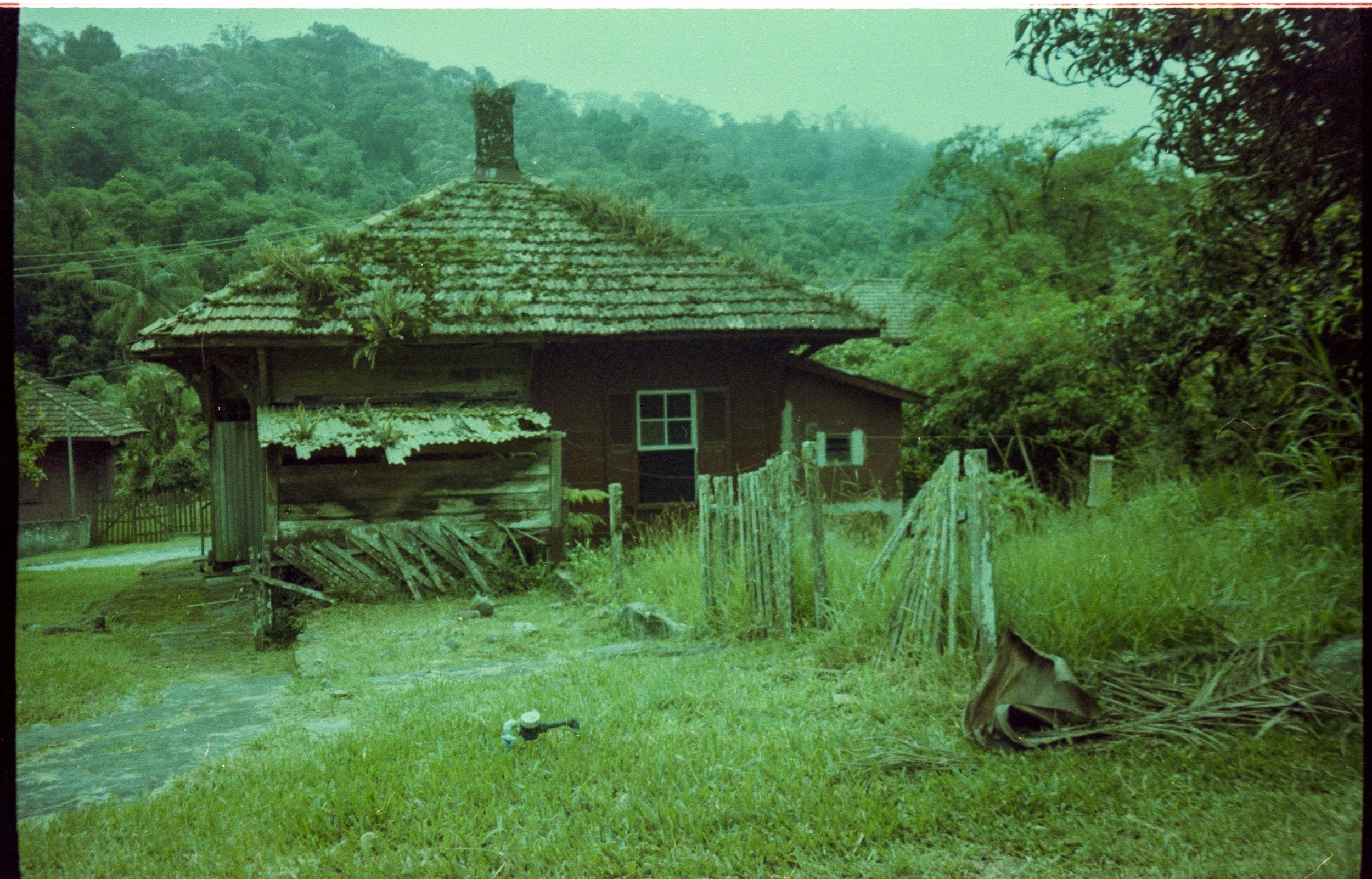 Paranapiacaba_Kyocera_Campus_70_Ferrania_Solaris_100_36-1.jpg