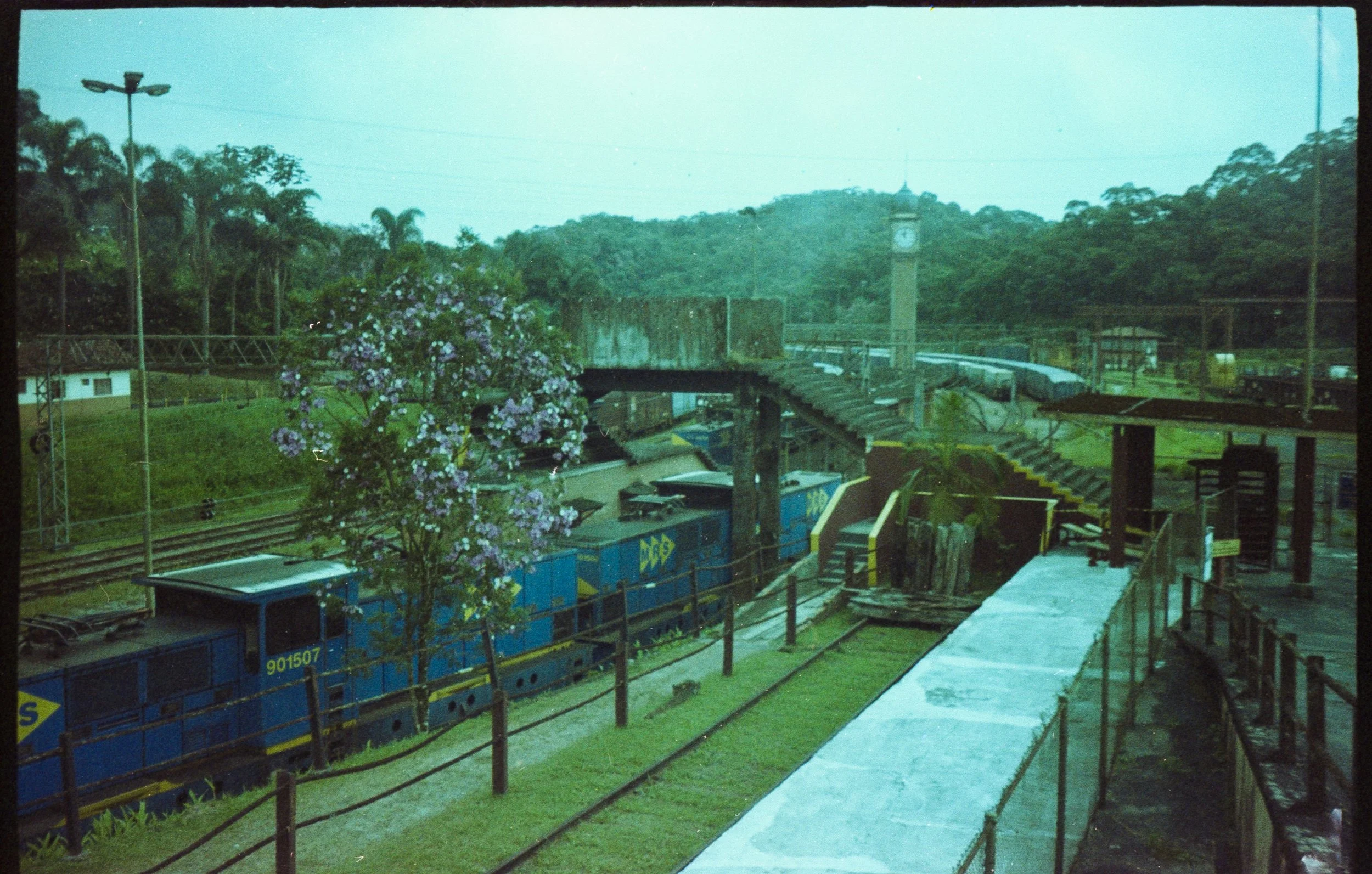 Paranapiacaba_Kyocera_Campus_70_Ferrania_Solaris_100_38-1.jpg