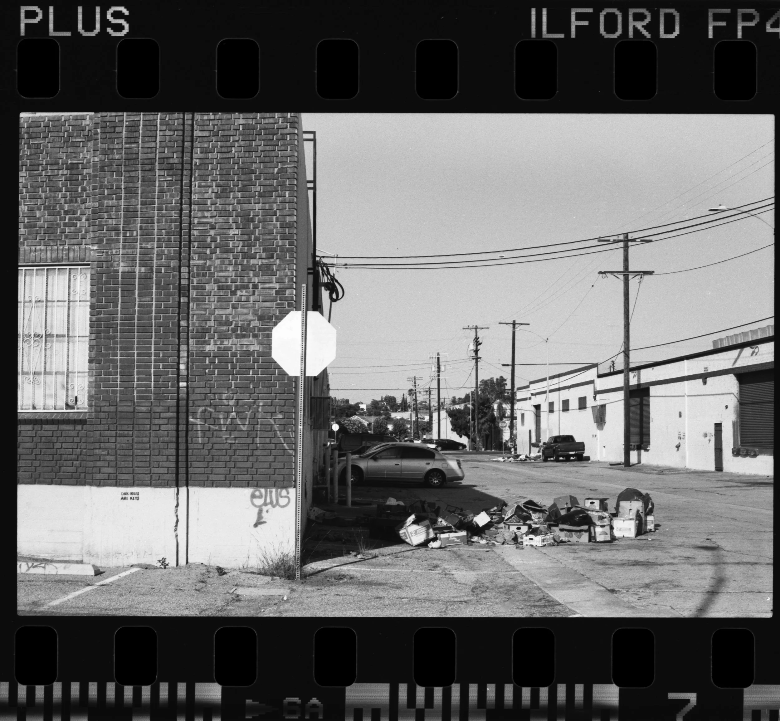 Nikon_F100_Ilford_FP4_Plus_06-1.jpg