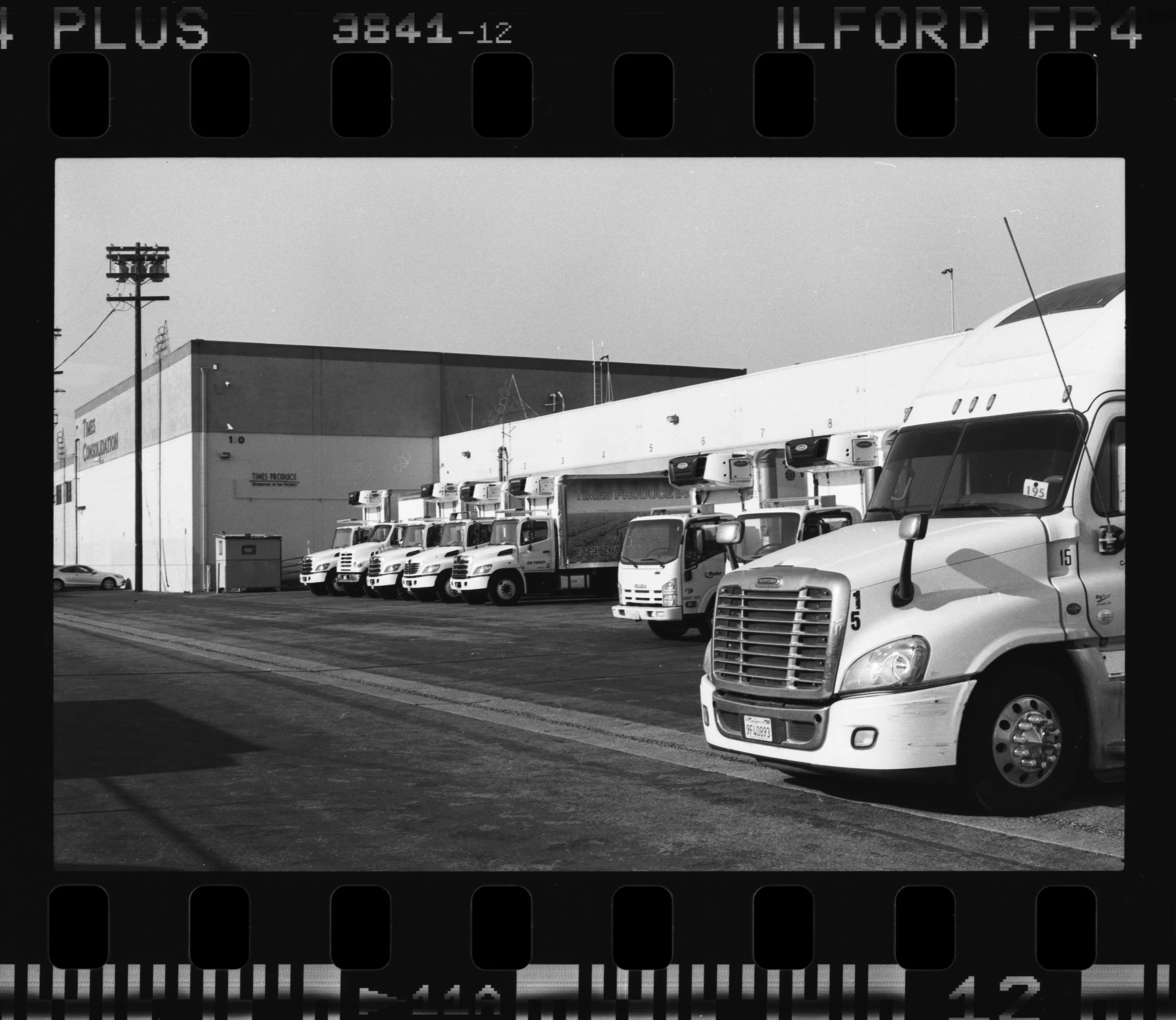 Nikon_F100_Ilford_FP4_Plus_11-1.jpg