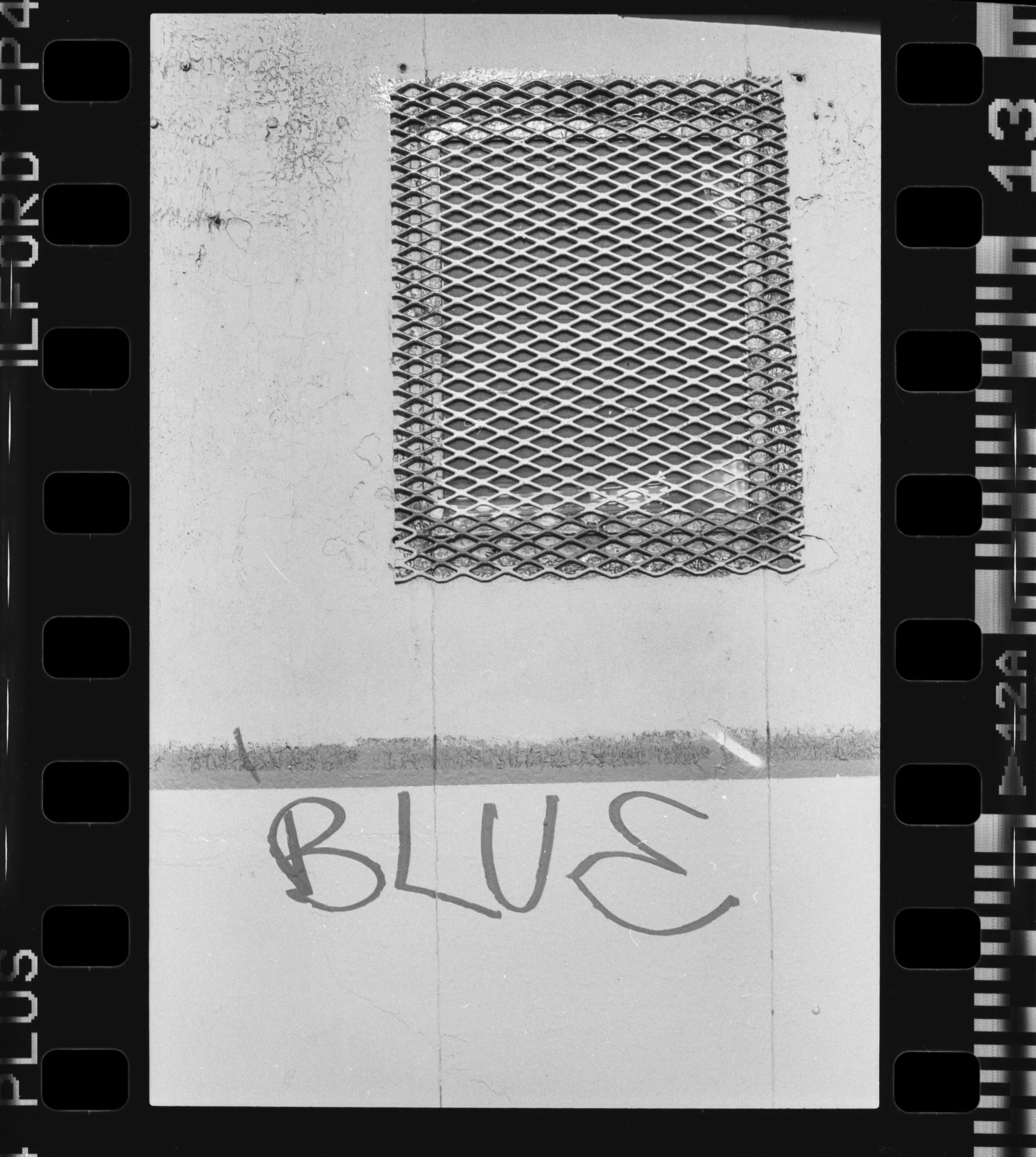 Nikon_F100_Ilford_FP4_Plus_12-1.jpg