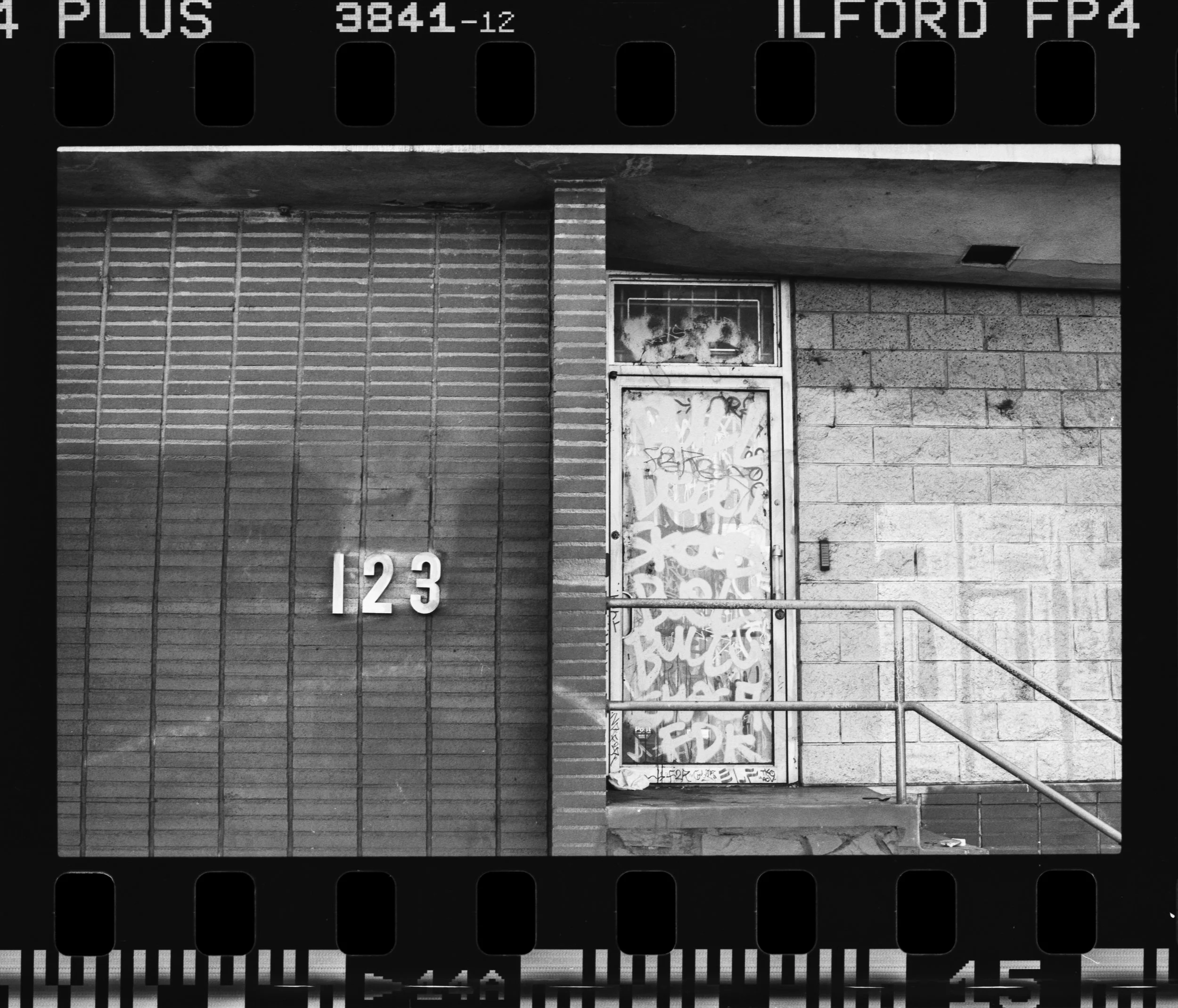 Nikon_F100_Ilford_FP4_Plus_14-1.jpg