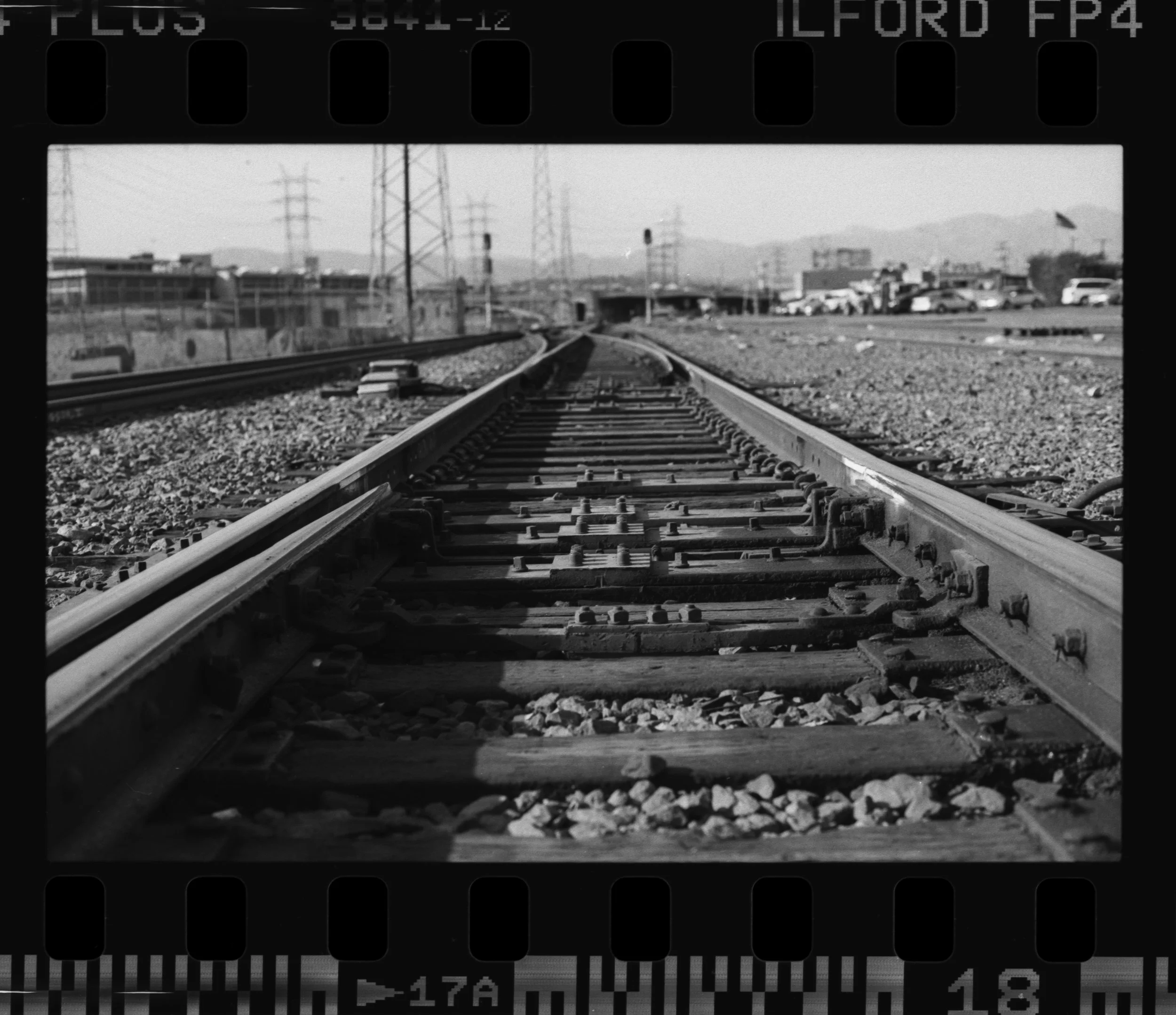 Nikon_F100_Ilford_FP4_Plus_17-1.jpg