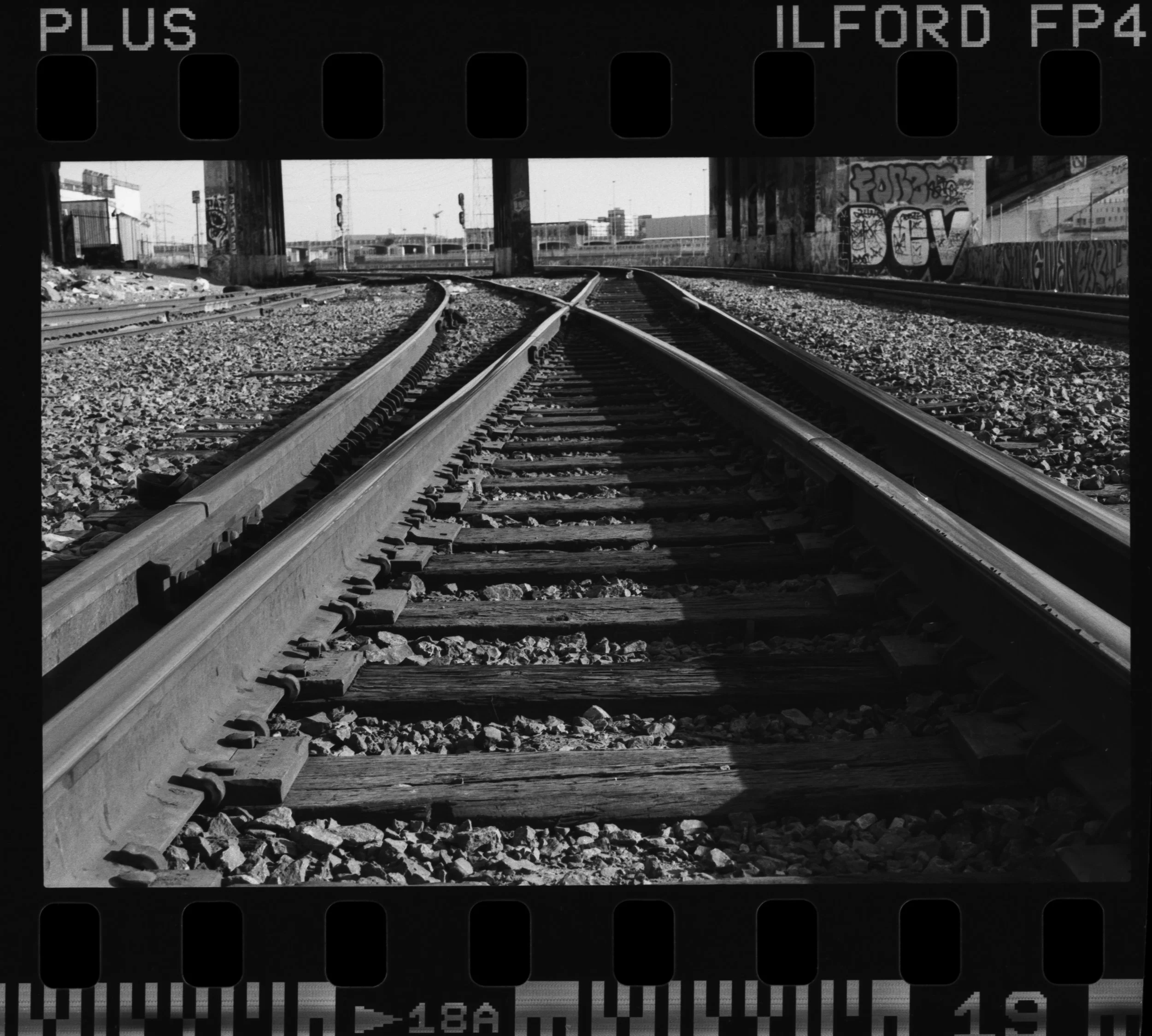 Nikon_F100_Ilford_FP4_Plus_18-1.jpg