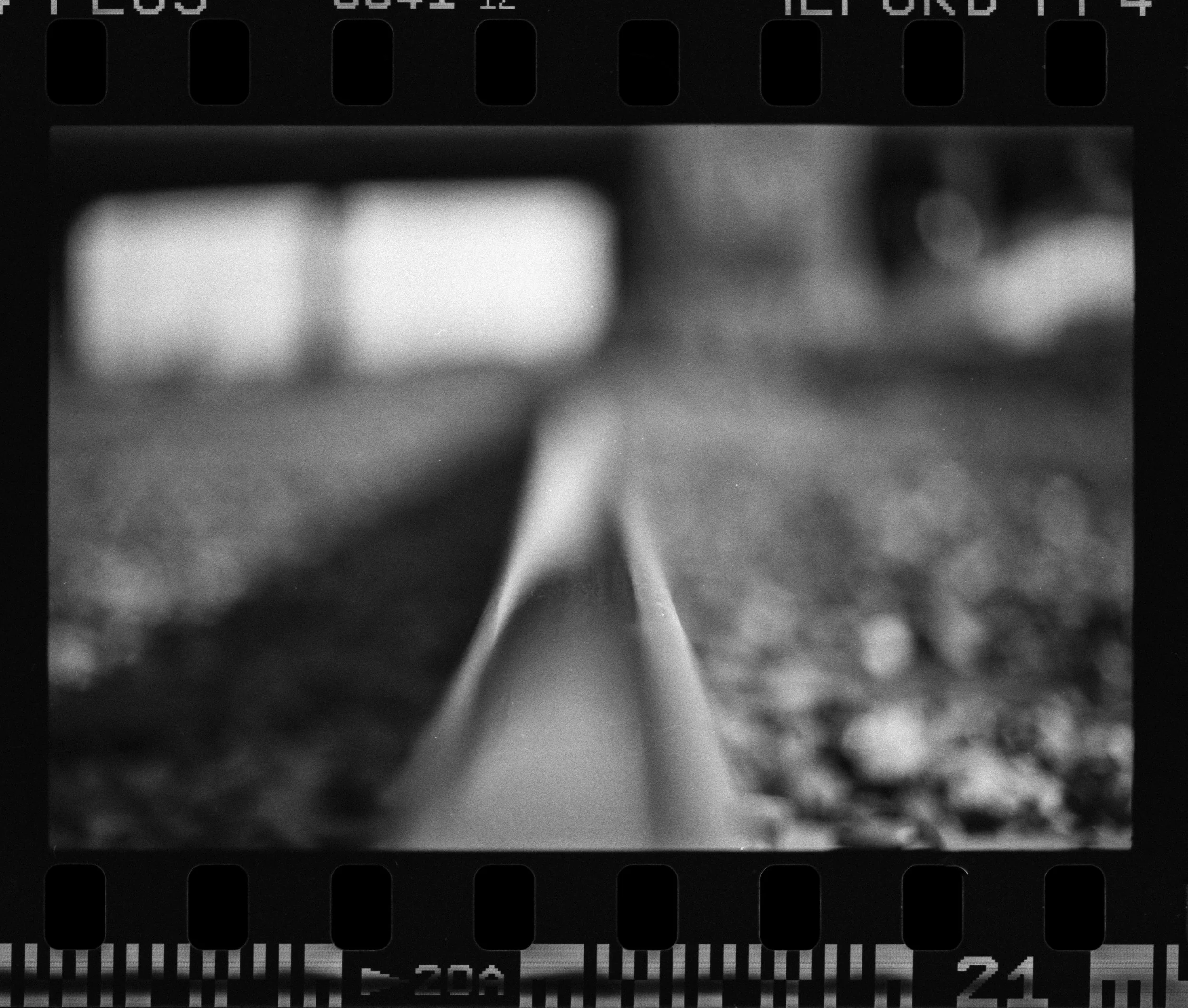 Nikon_F100_Ilford_FP4_Plus_20-1.jpg