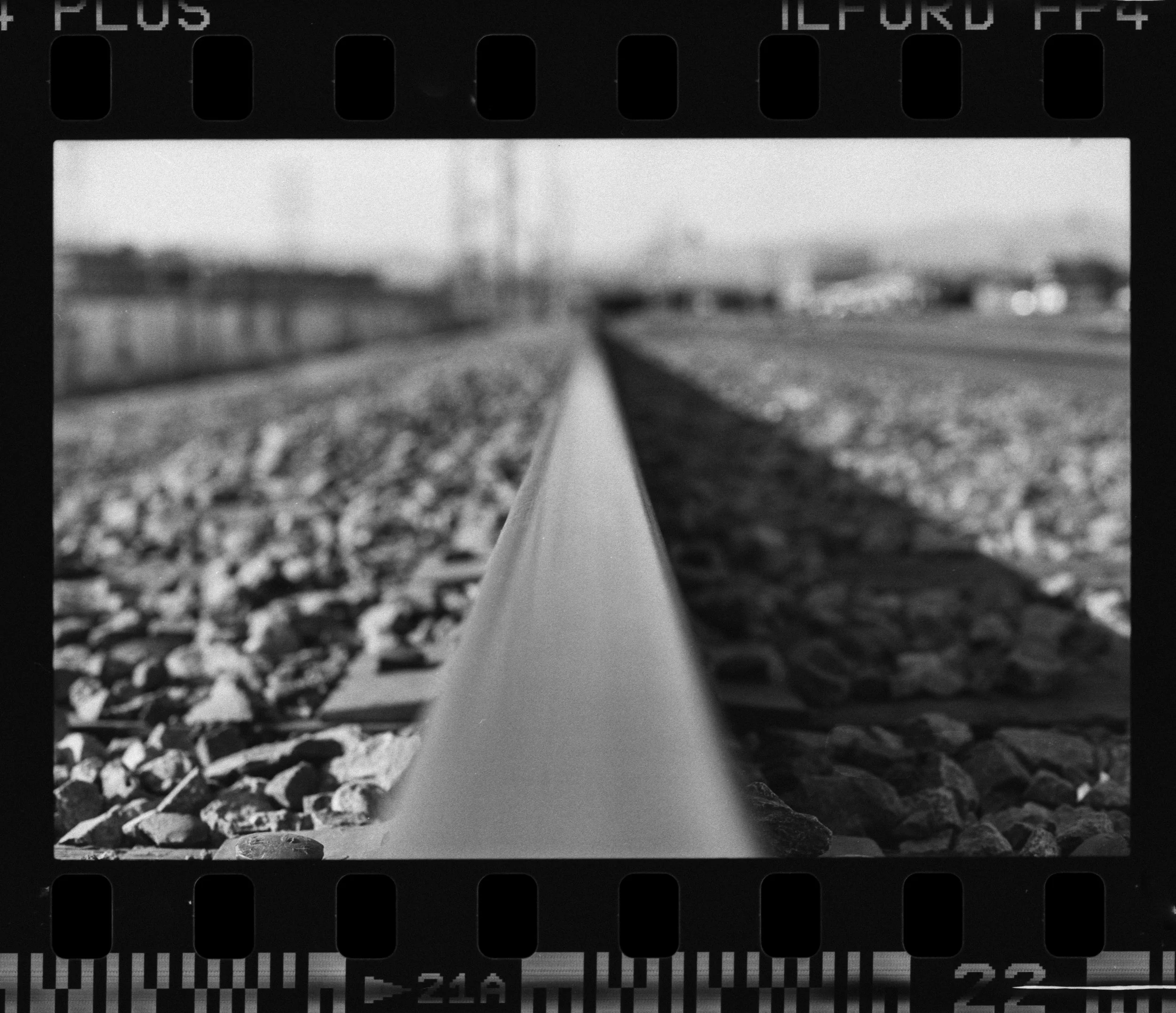 Nikon_F100_Ilford_FP4_Plus_21-1.jpg