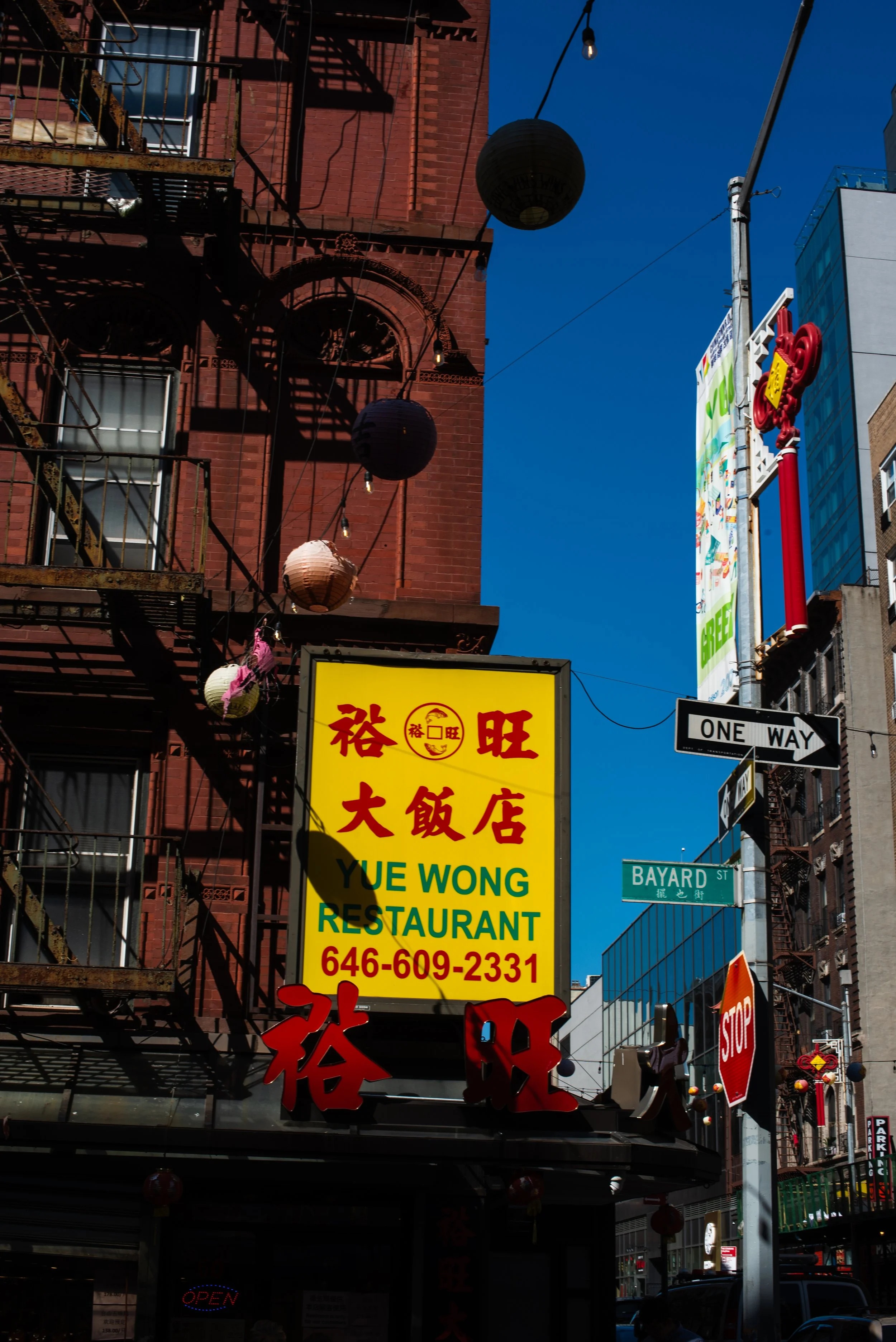 20240507NewYorkCityD750-369-1.jpg