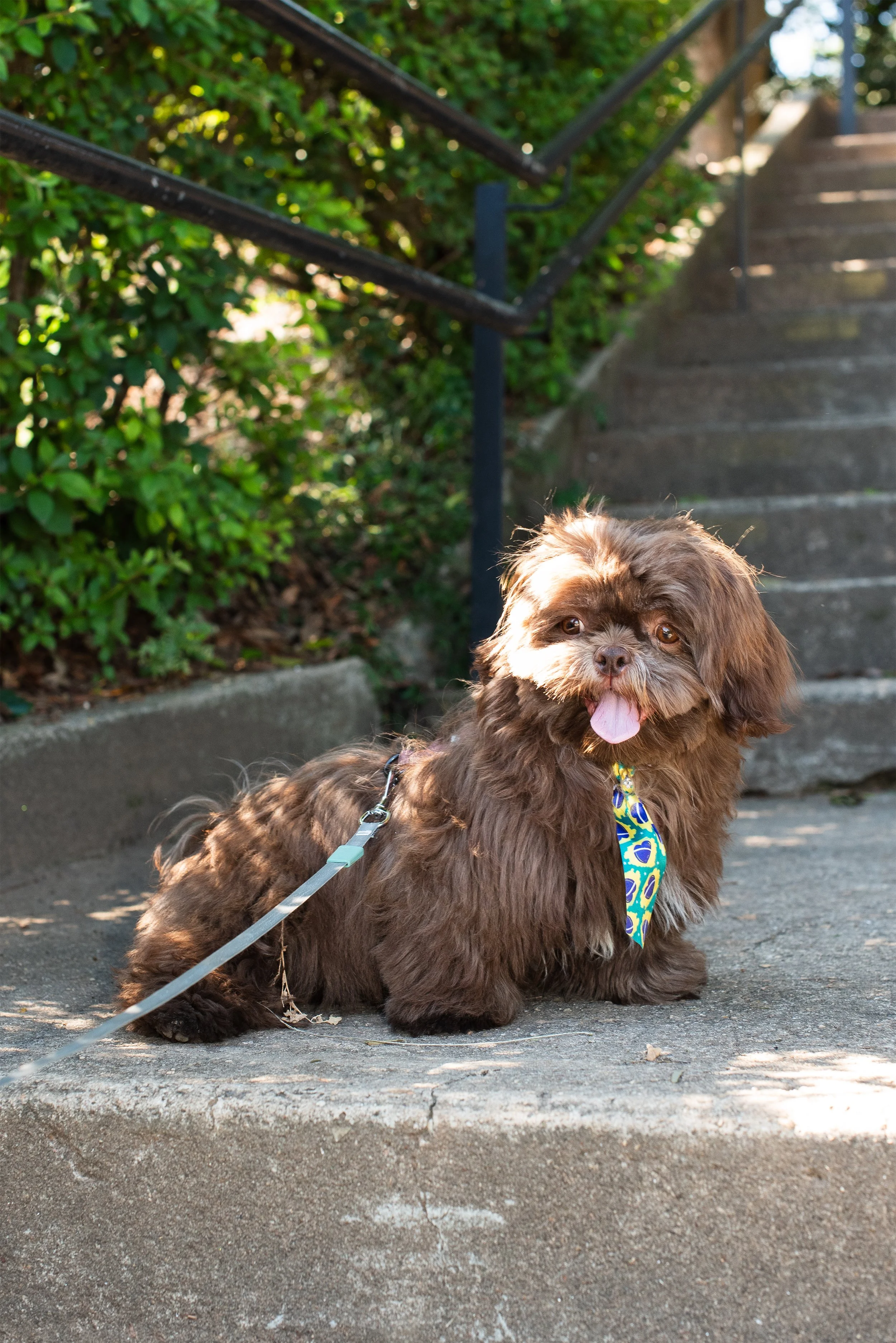 DSC_0508-1.jpg