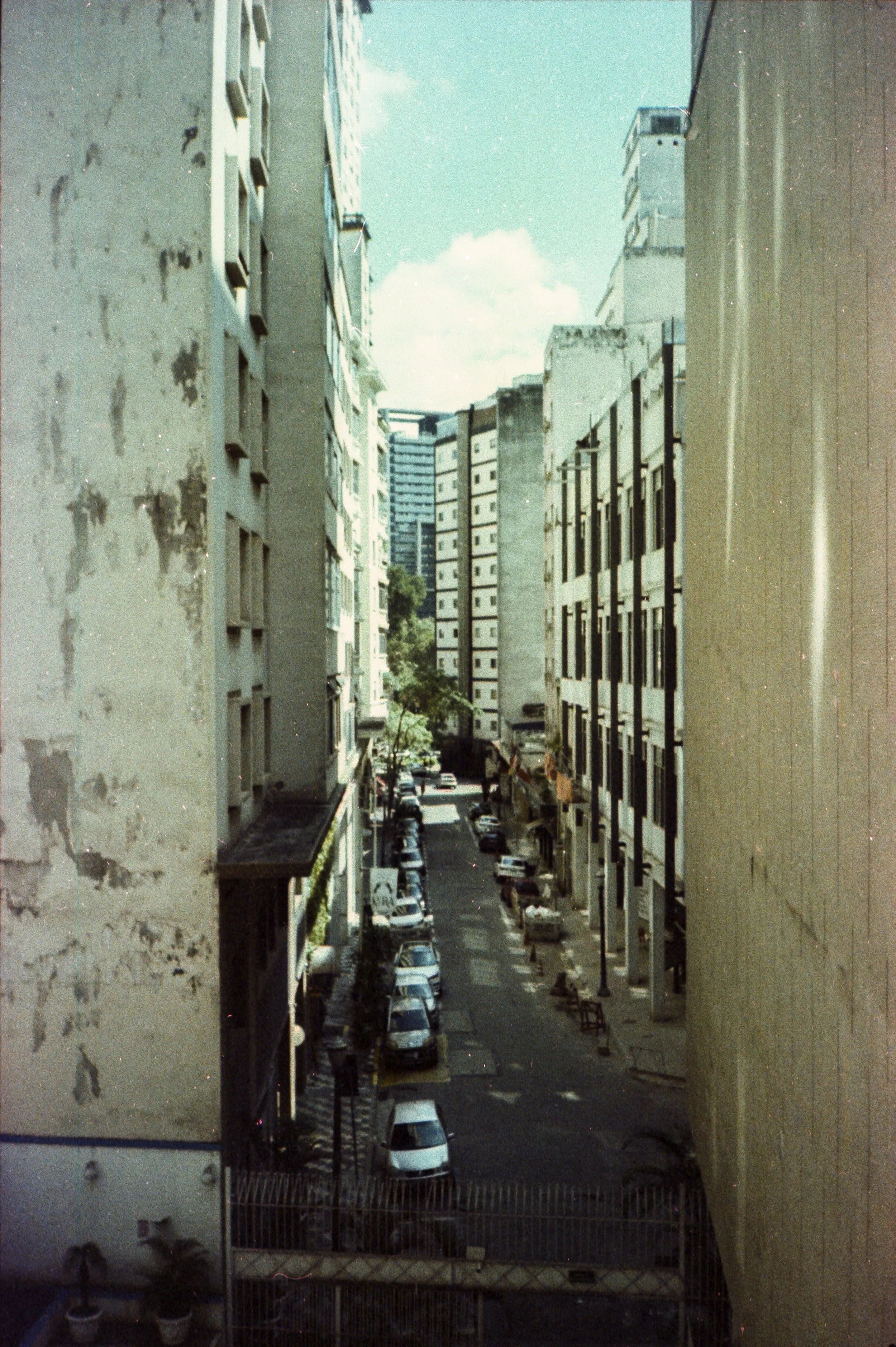 SP_Yashica_MF3_Carnaval_Solaris_100_04-1.jpg