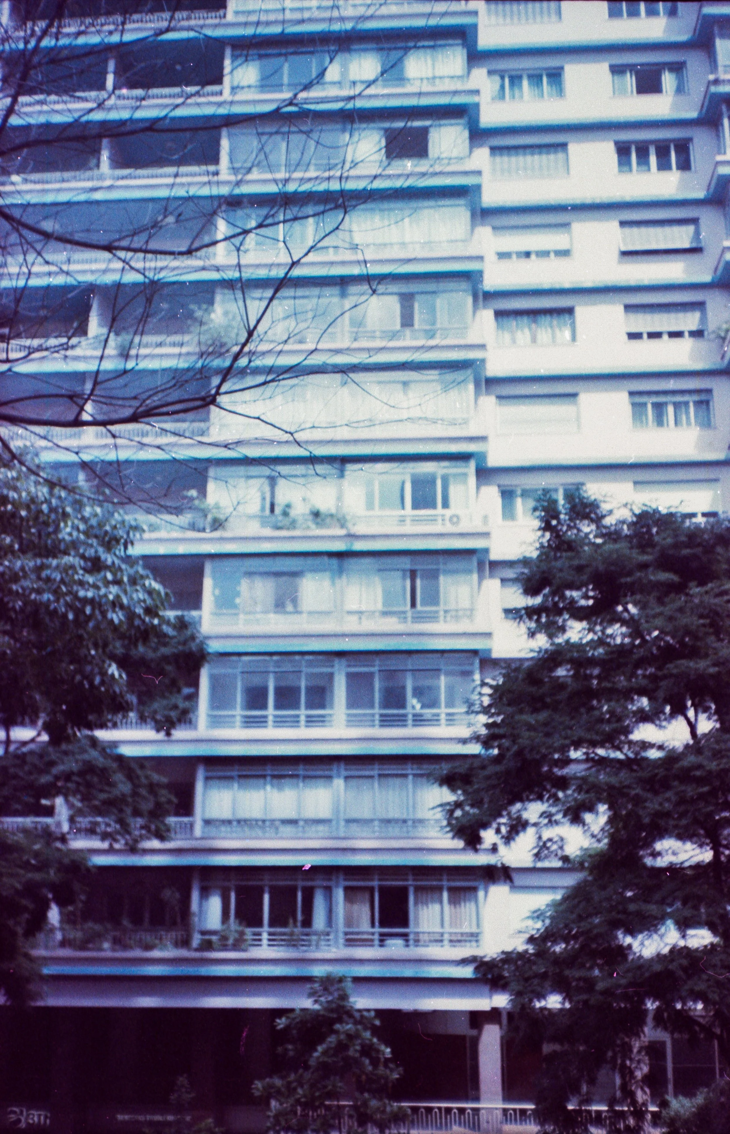 SP_Yashica_MF3_Carnaval_Solaris_100_09-1.jpg