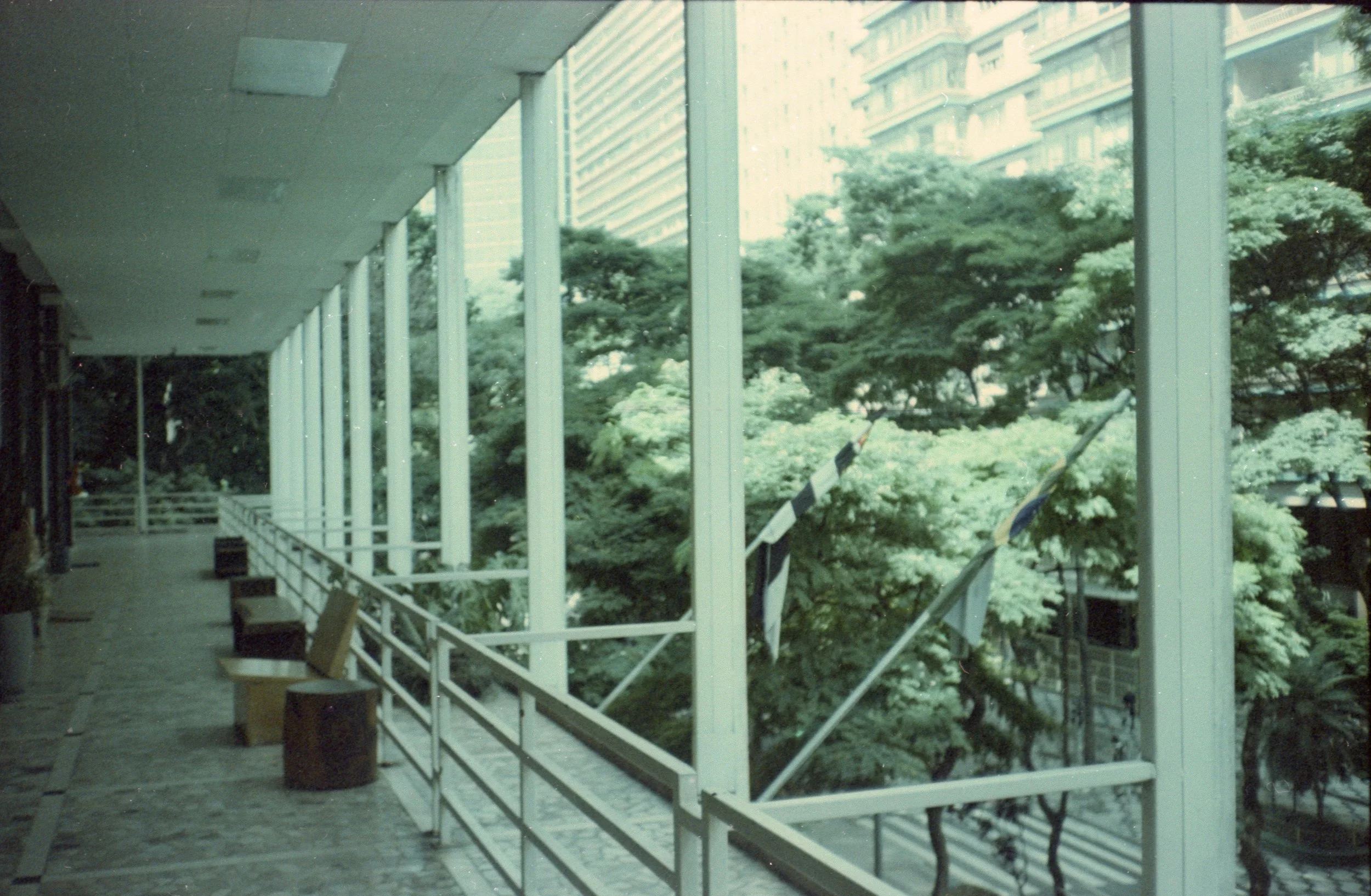 SP_Yashica_MF3_Carnaval_Solaris_100_10-1.jpg