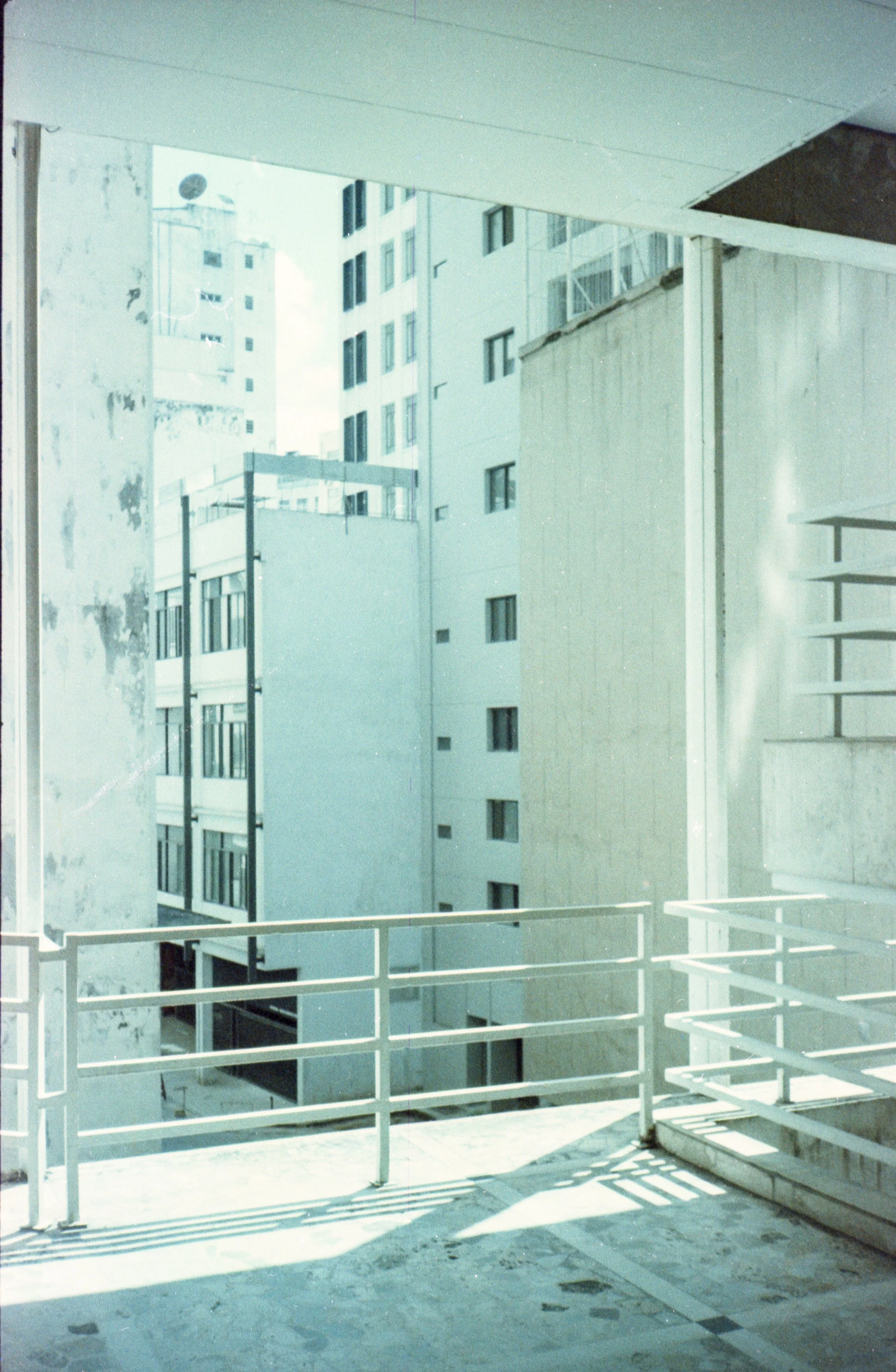 SP_Yashica_MF3_Carnaval_Solaris_100_11-1.jpg