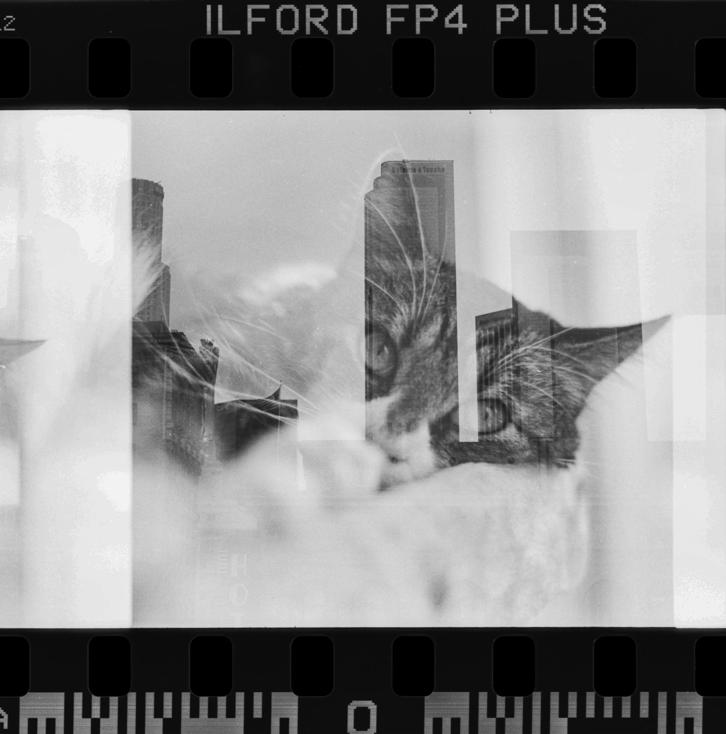 LA_2014_PentaxmeSuper_IlfordFP4Plus_02-1.jpg
