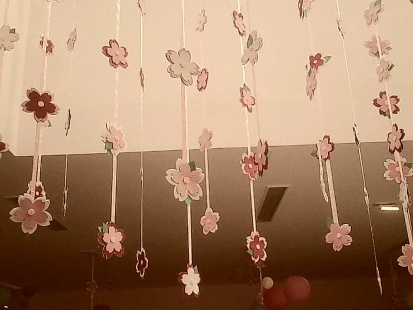 PICT0123.jpg