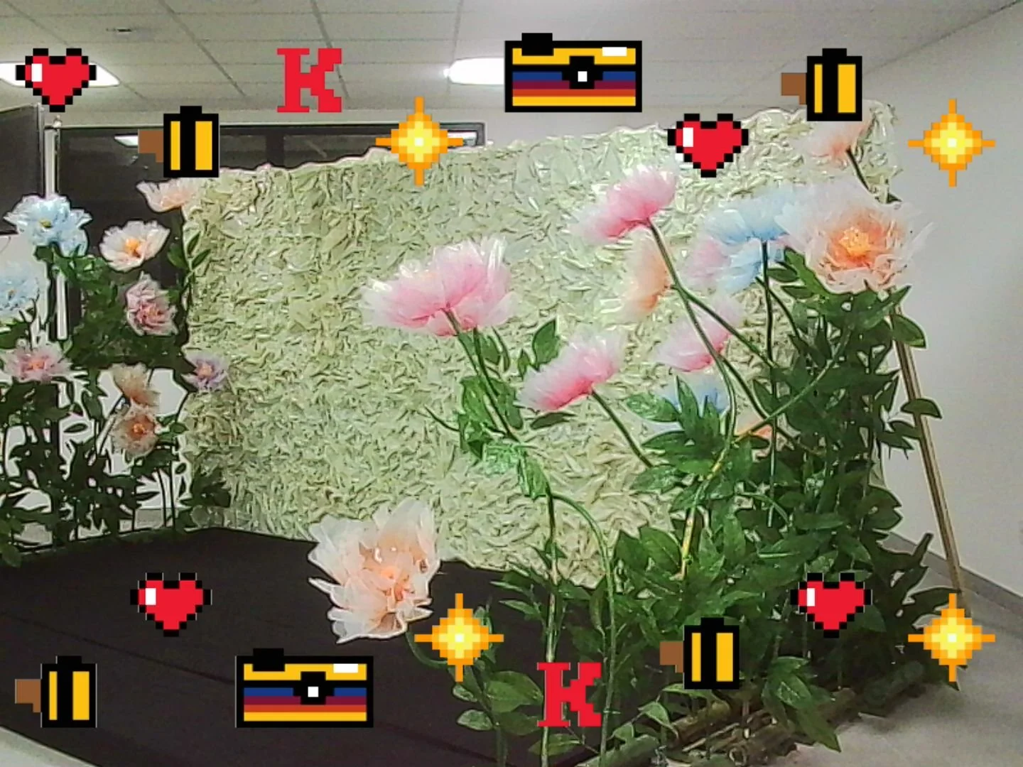 PICT0129.jpg