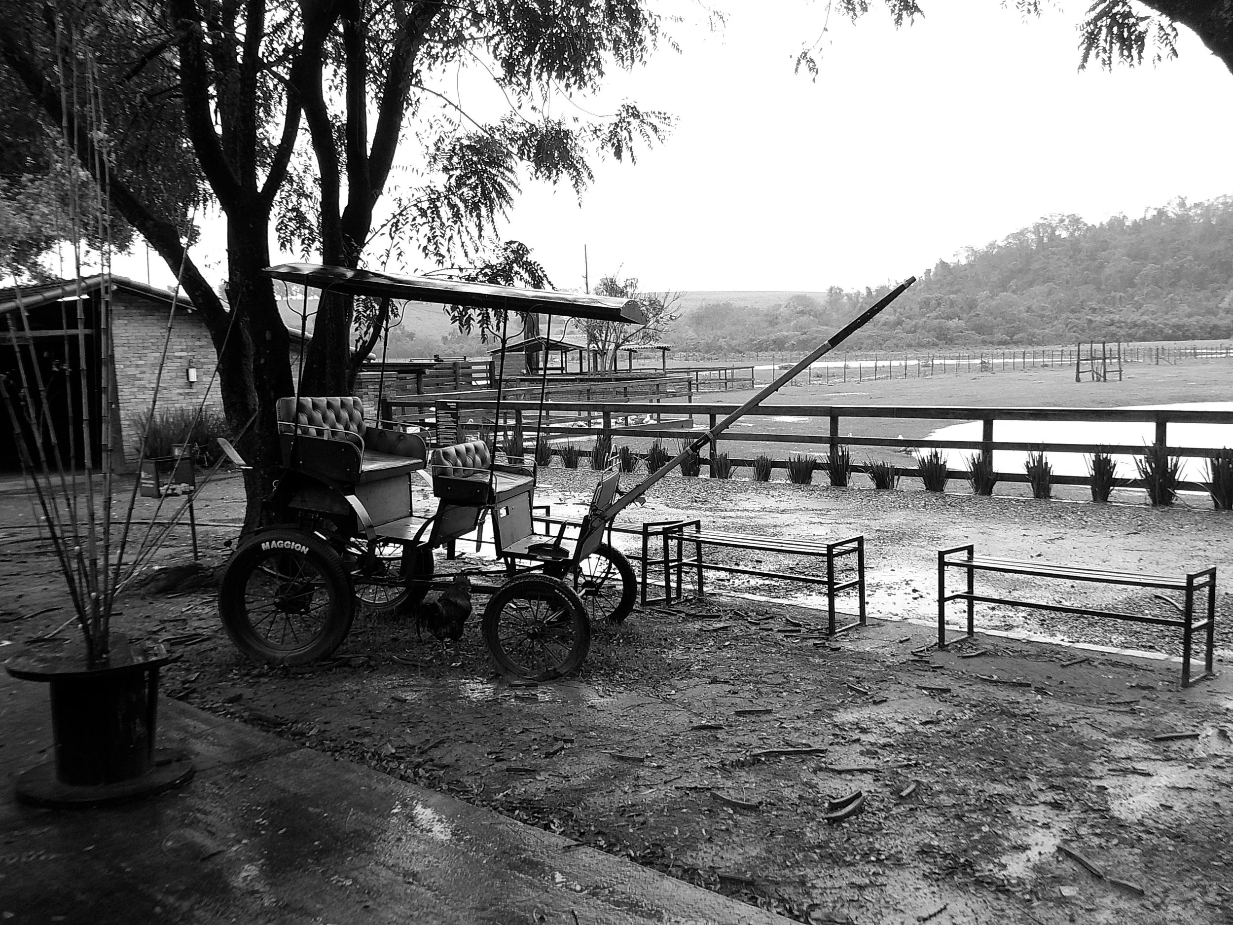 DSCF0092.JPG