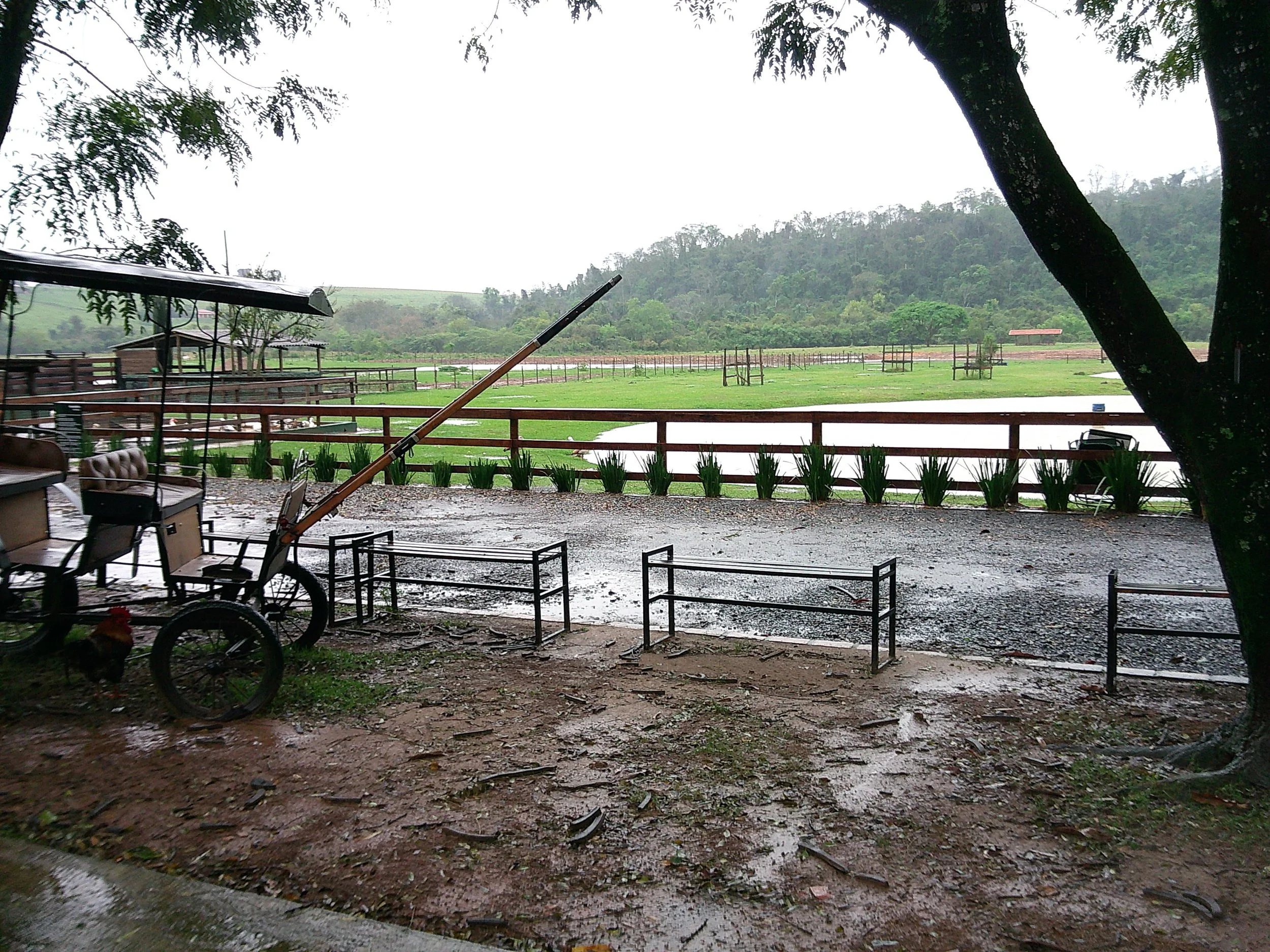 DSCF0093.JPG