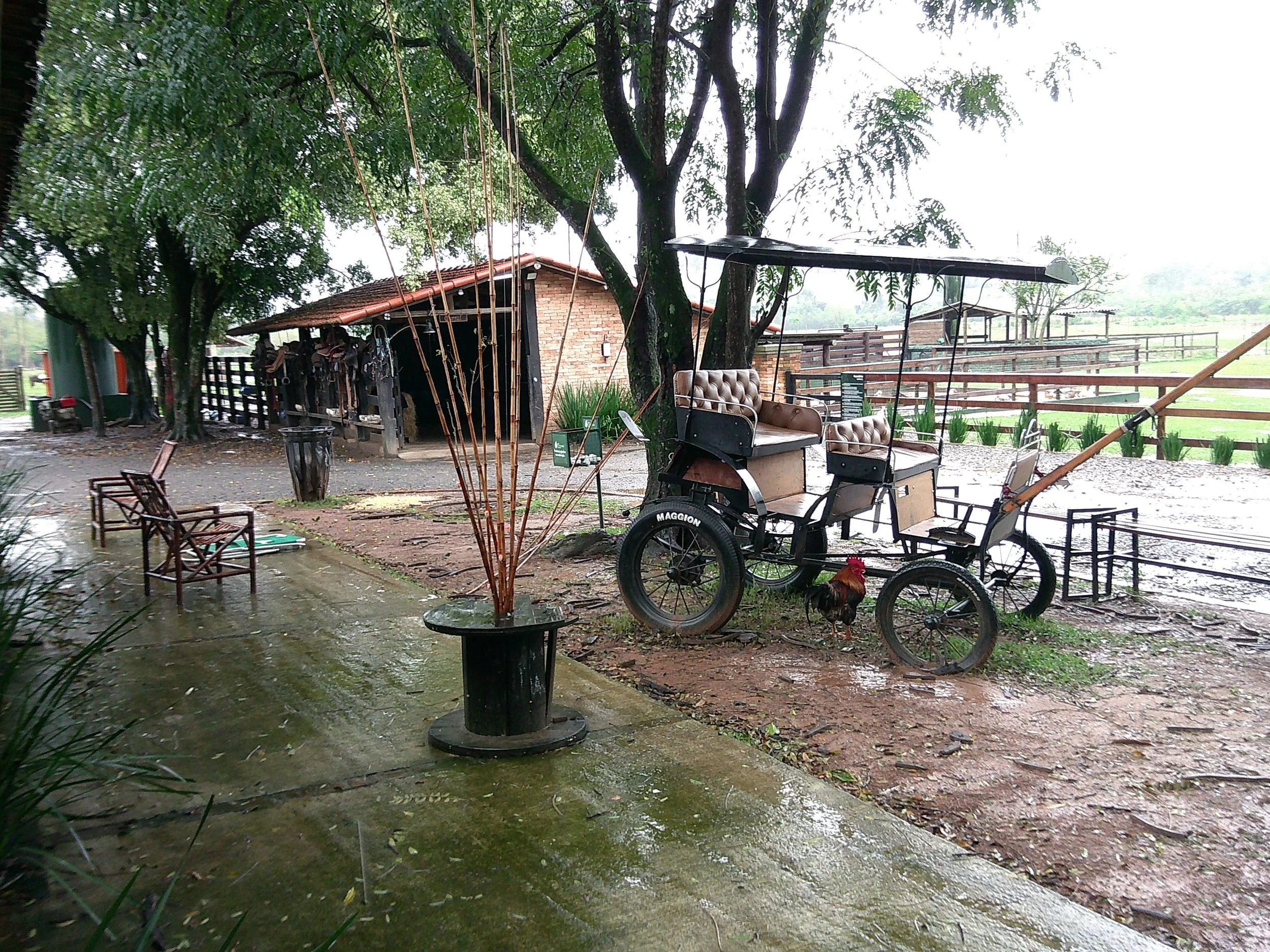 DSCF0094.JPG
