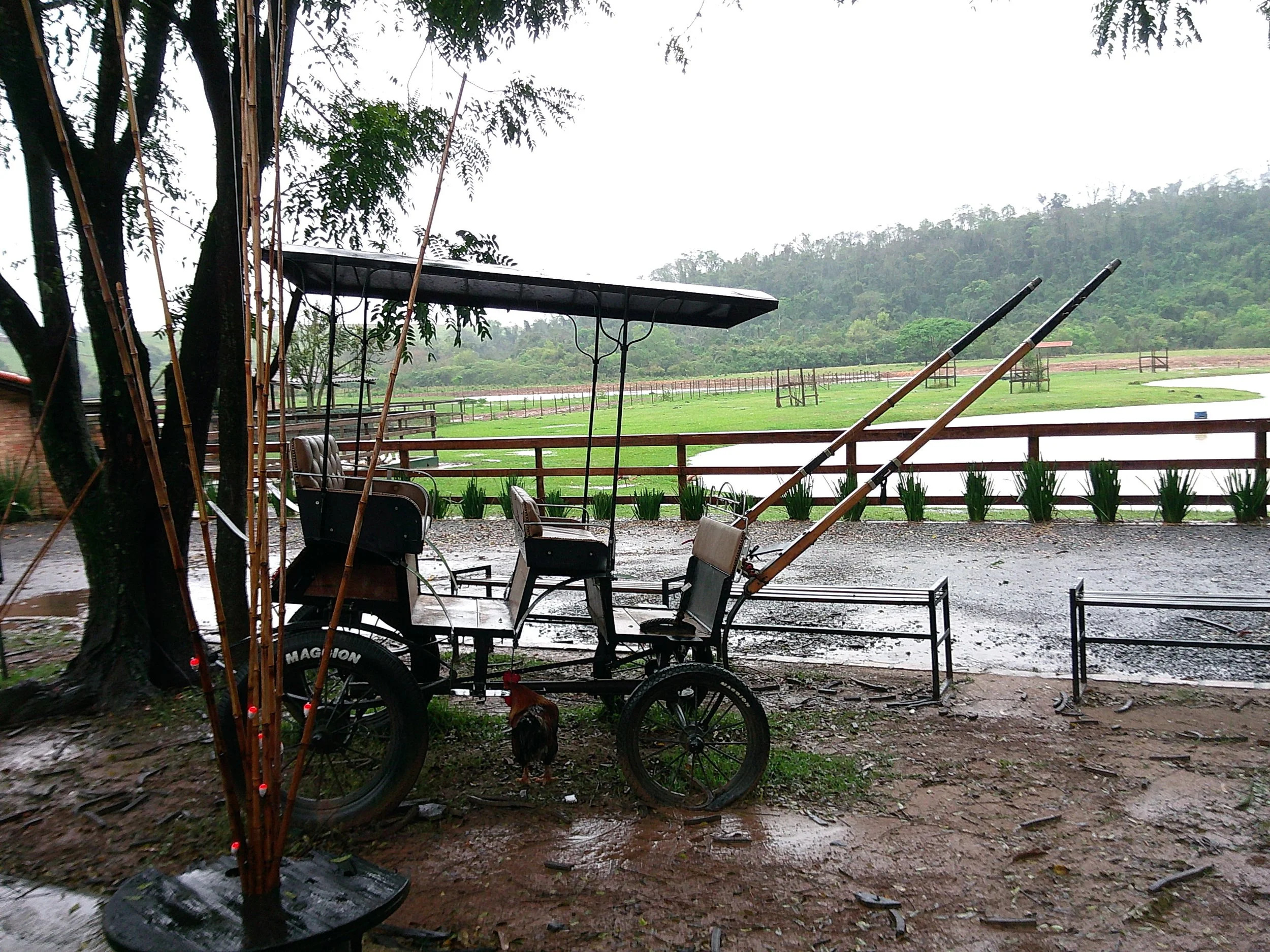 DSCF0095.JPG