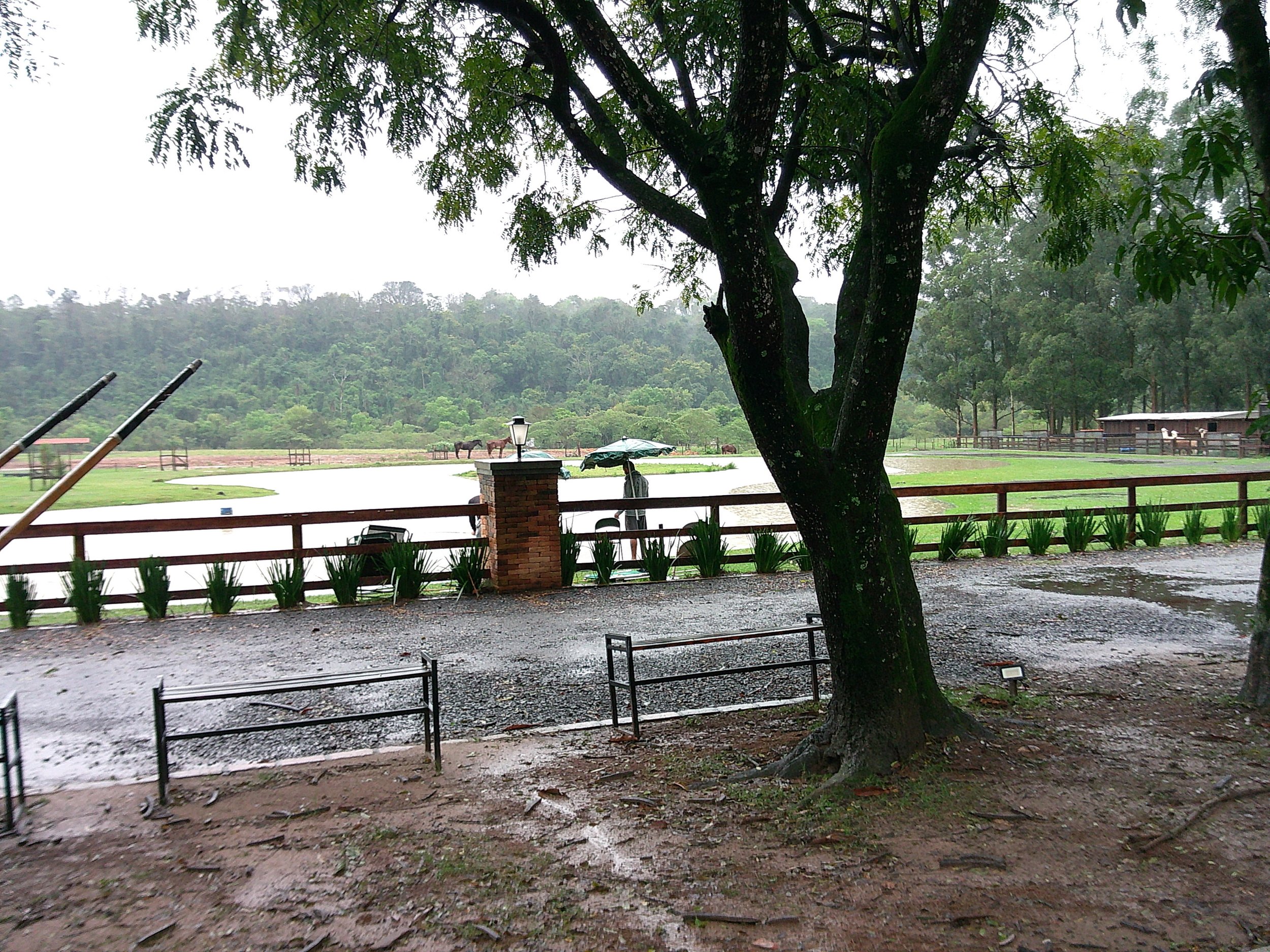 DSCF0096.JPG