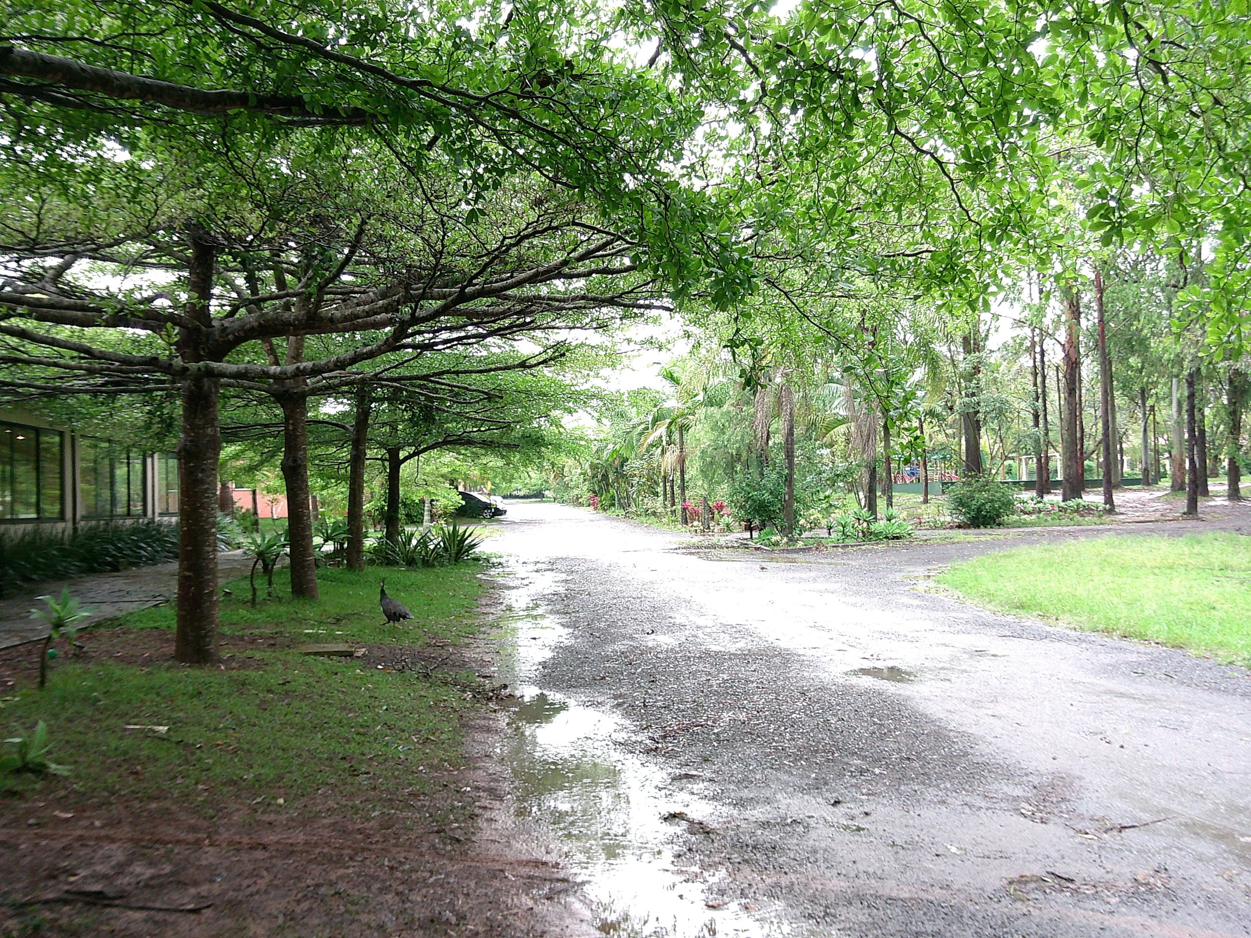 DSCF0101.JPG