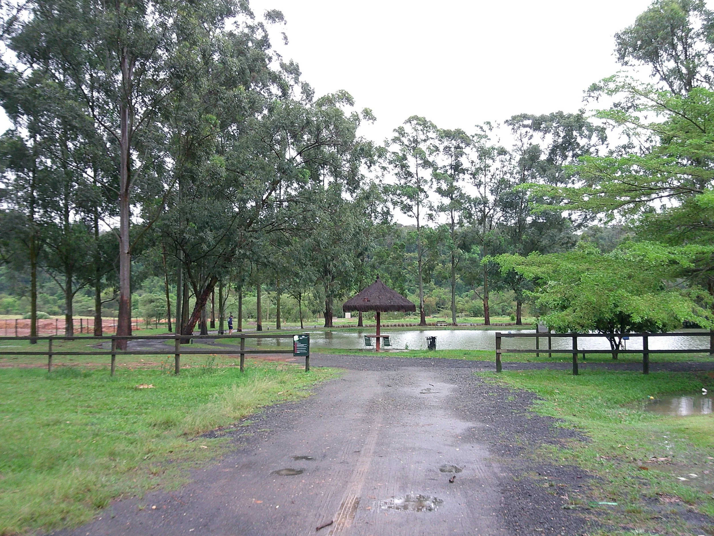 DSCF0102.JPG