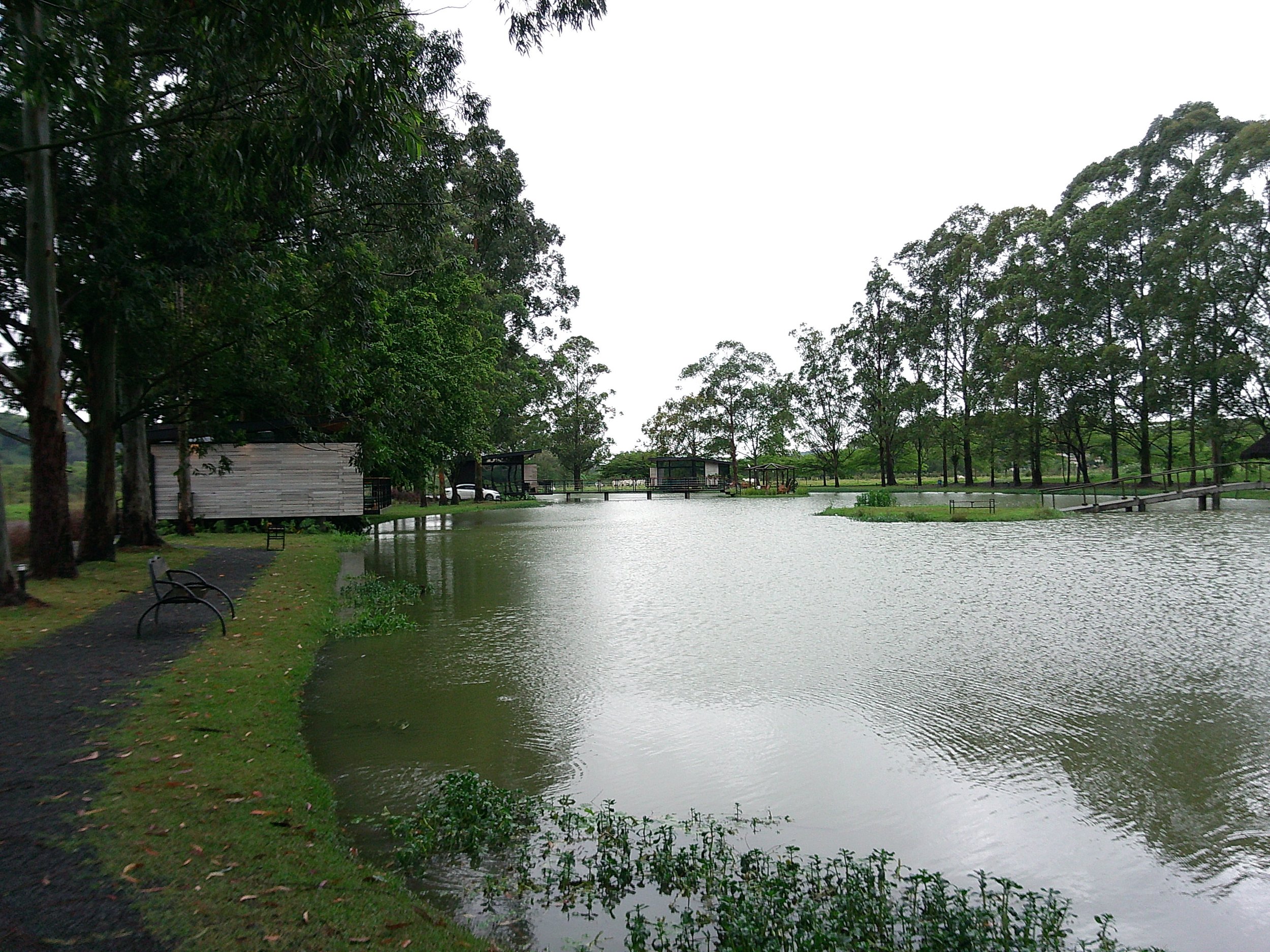 DSCF0103.JPG