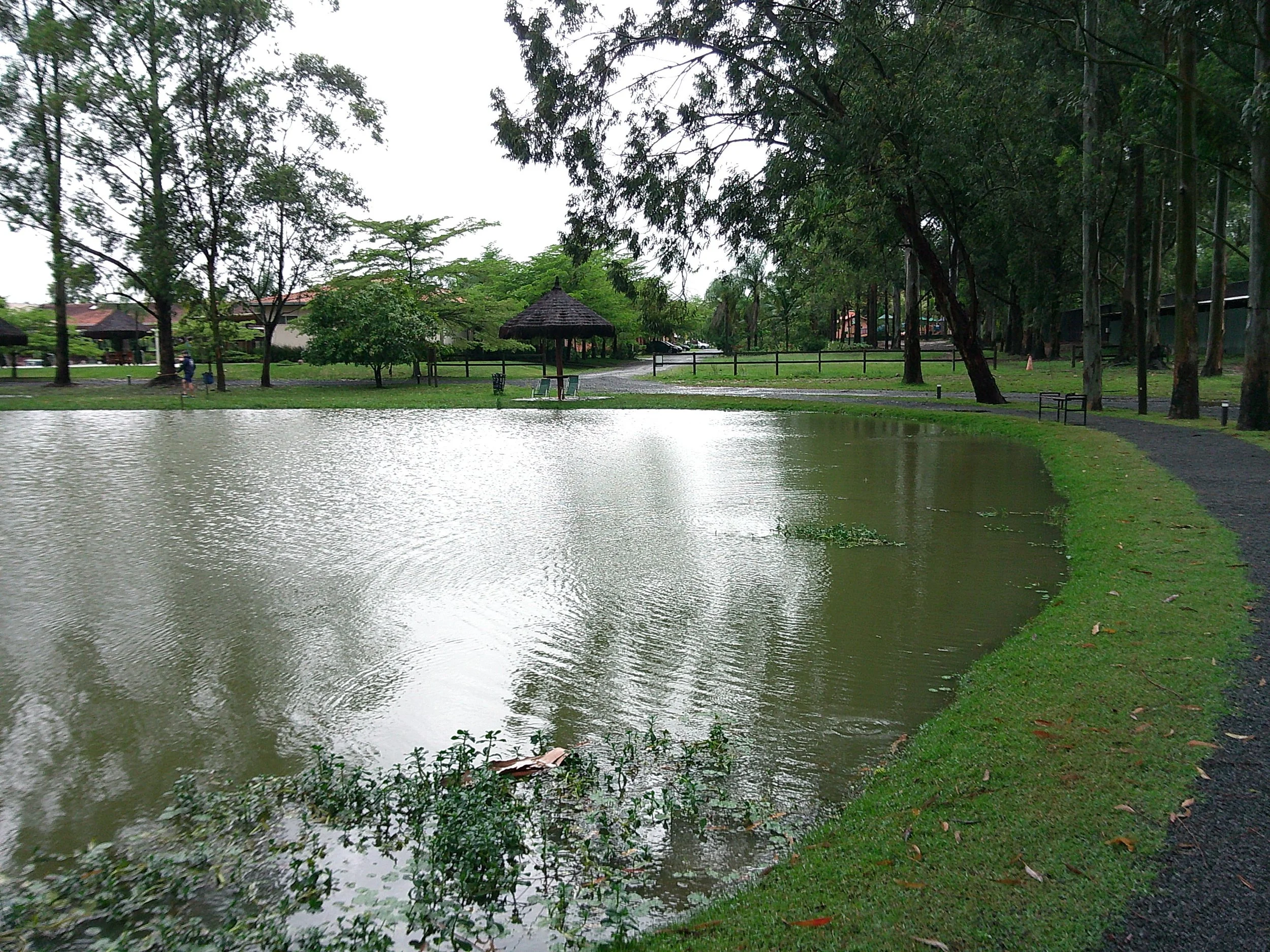 DSCF0104.JPG