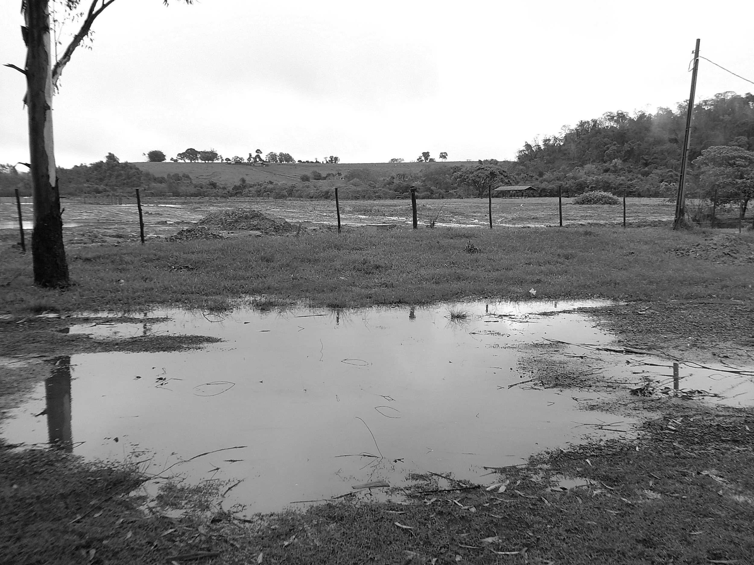 DSCF0105.JPG