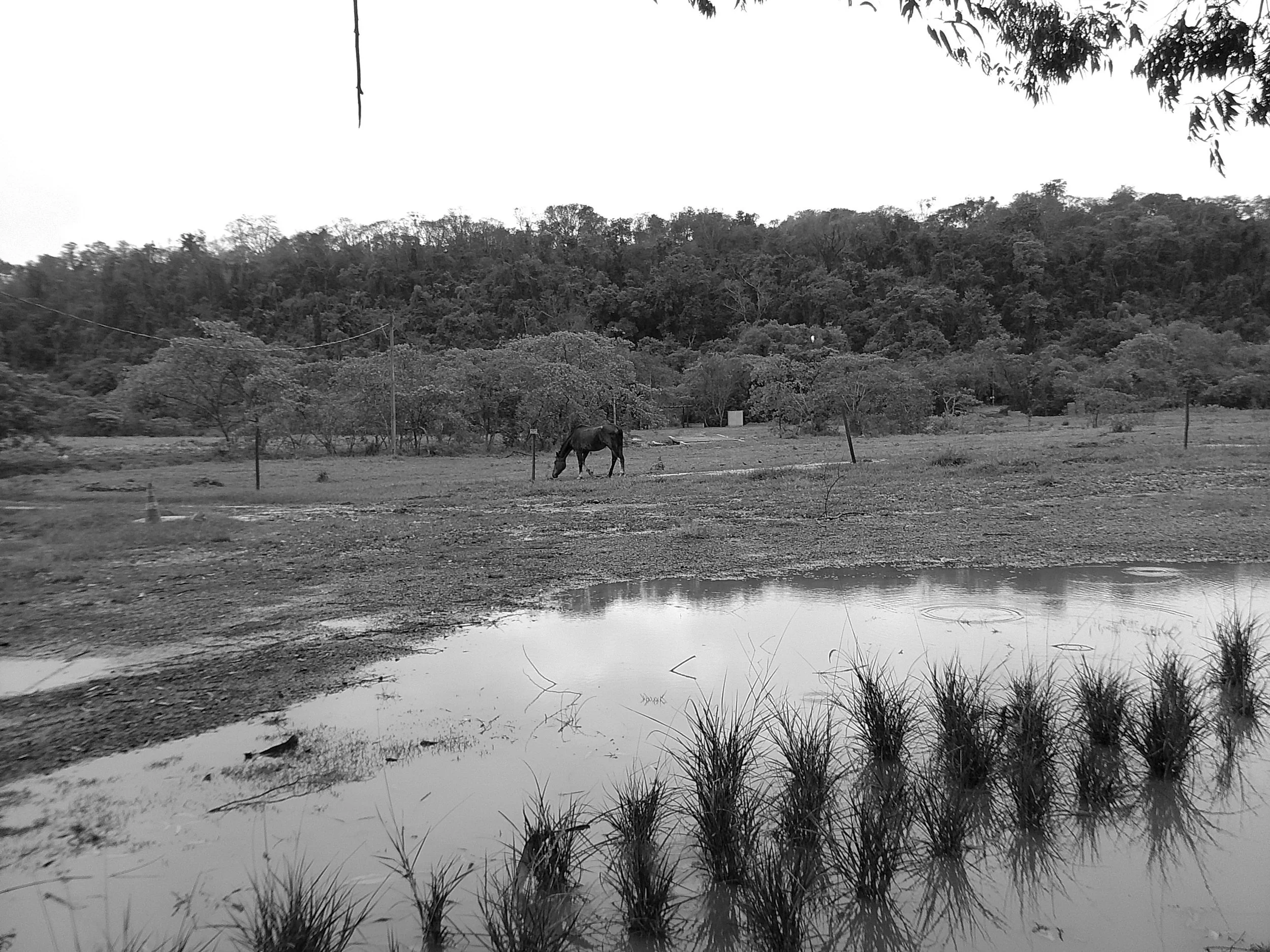 DSCF0106.JPG