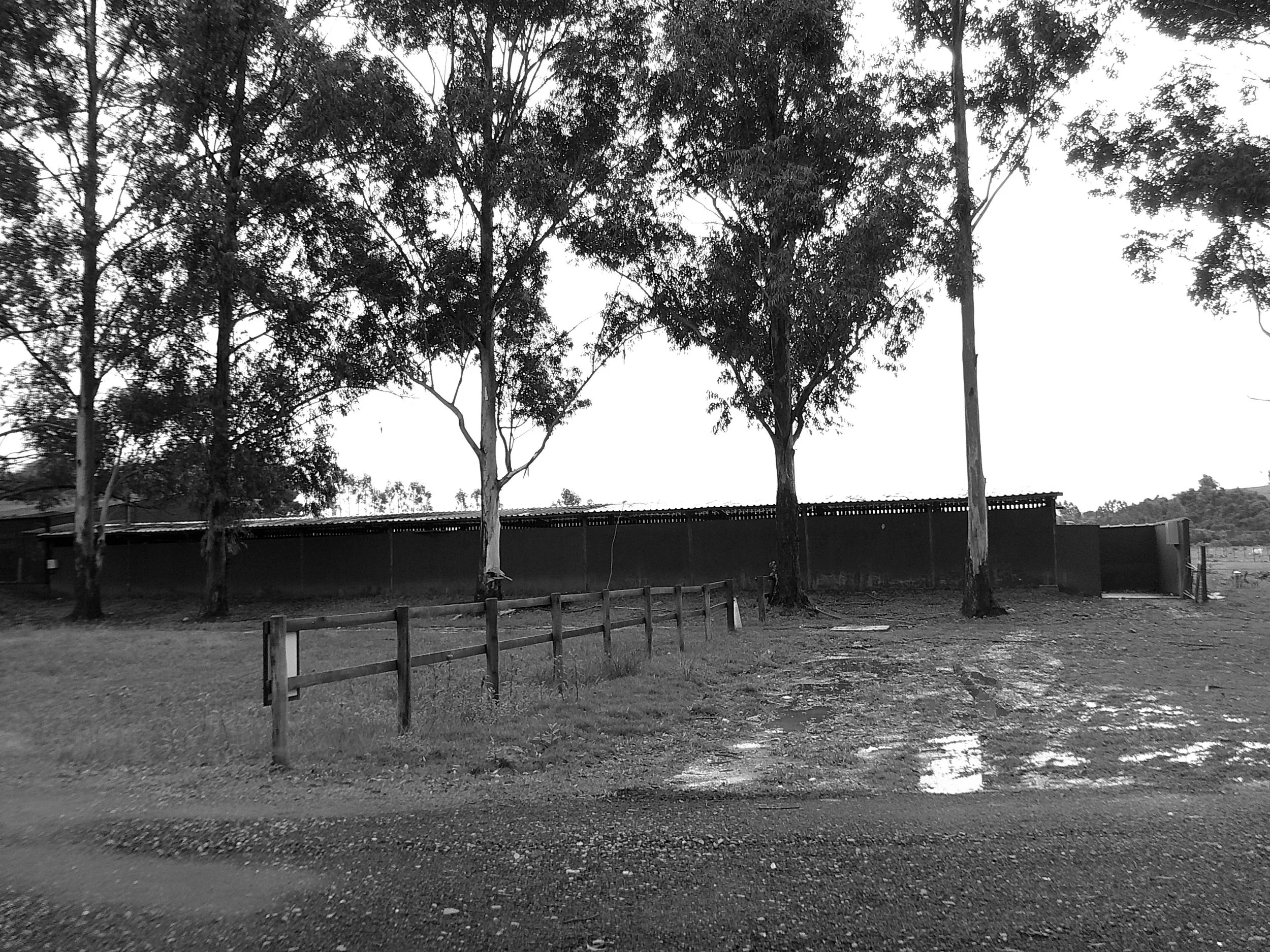 DSCF0132.JPG