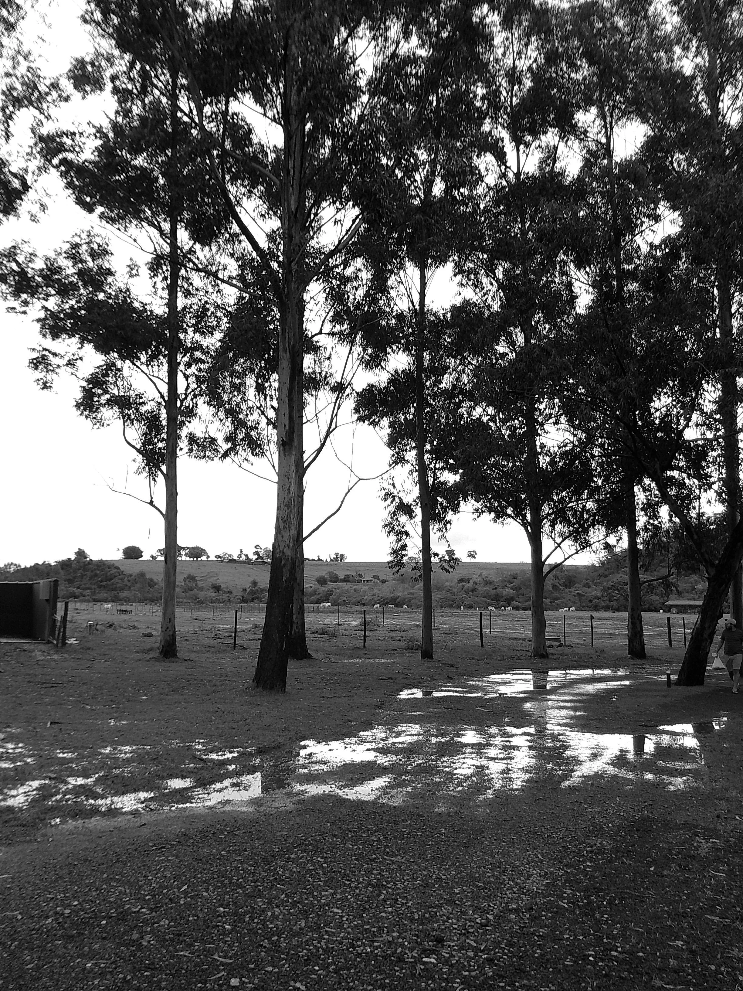 DSCF0133.JPG