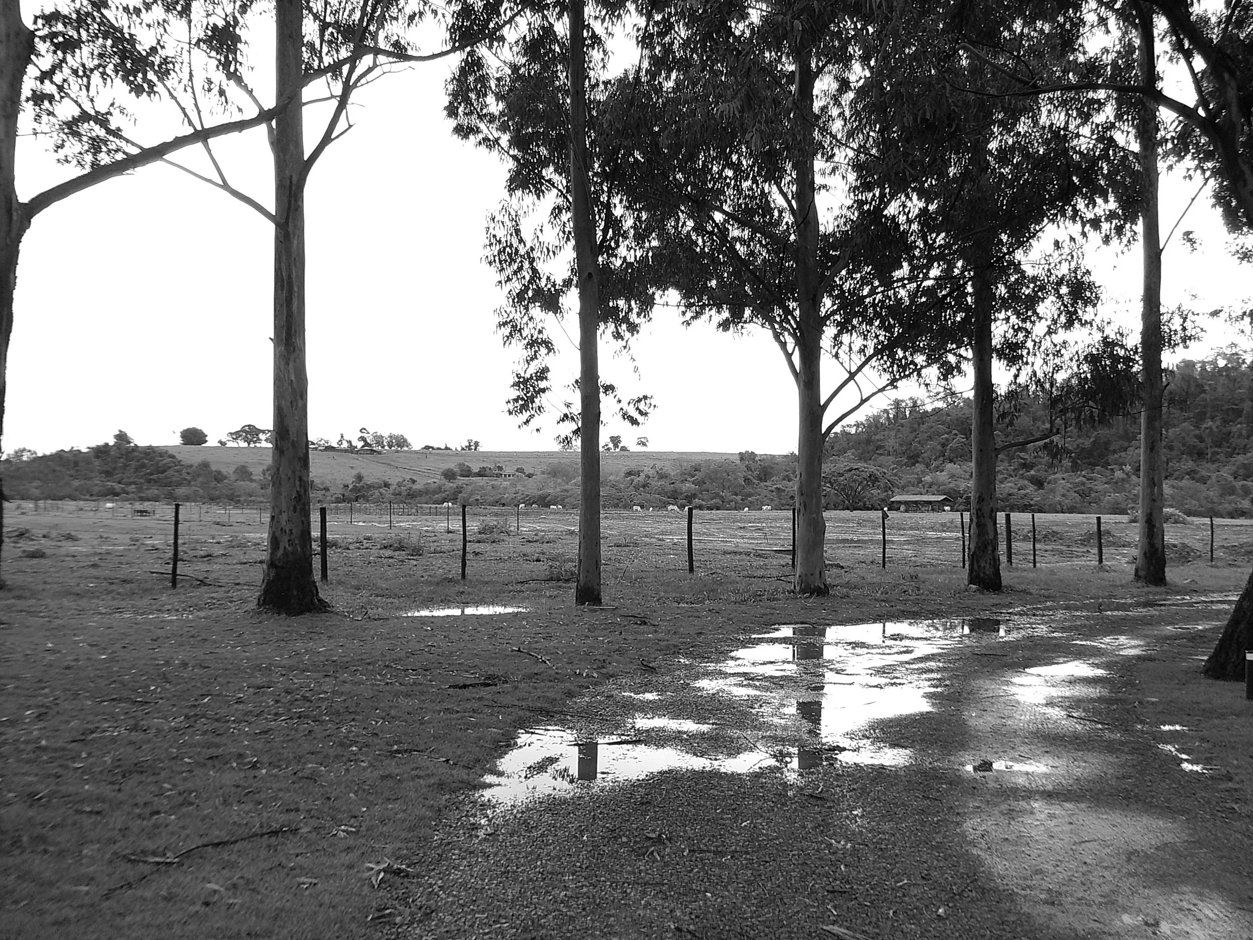 DSCF0135.JPG