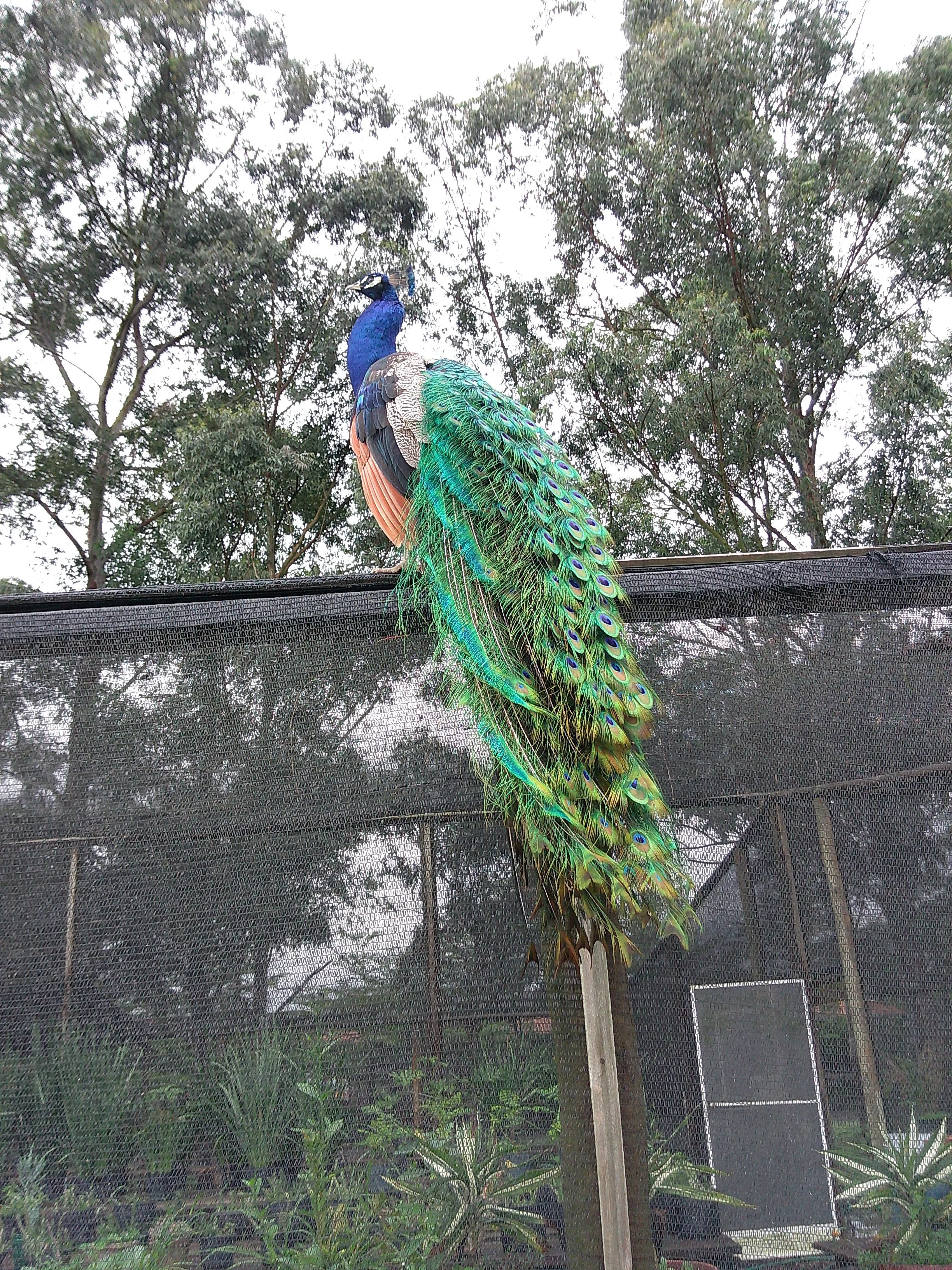 DSCF0136.JPG