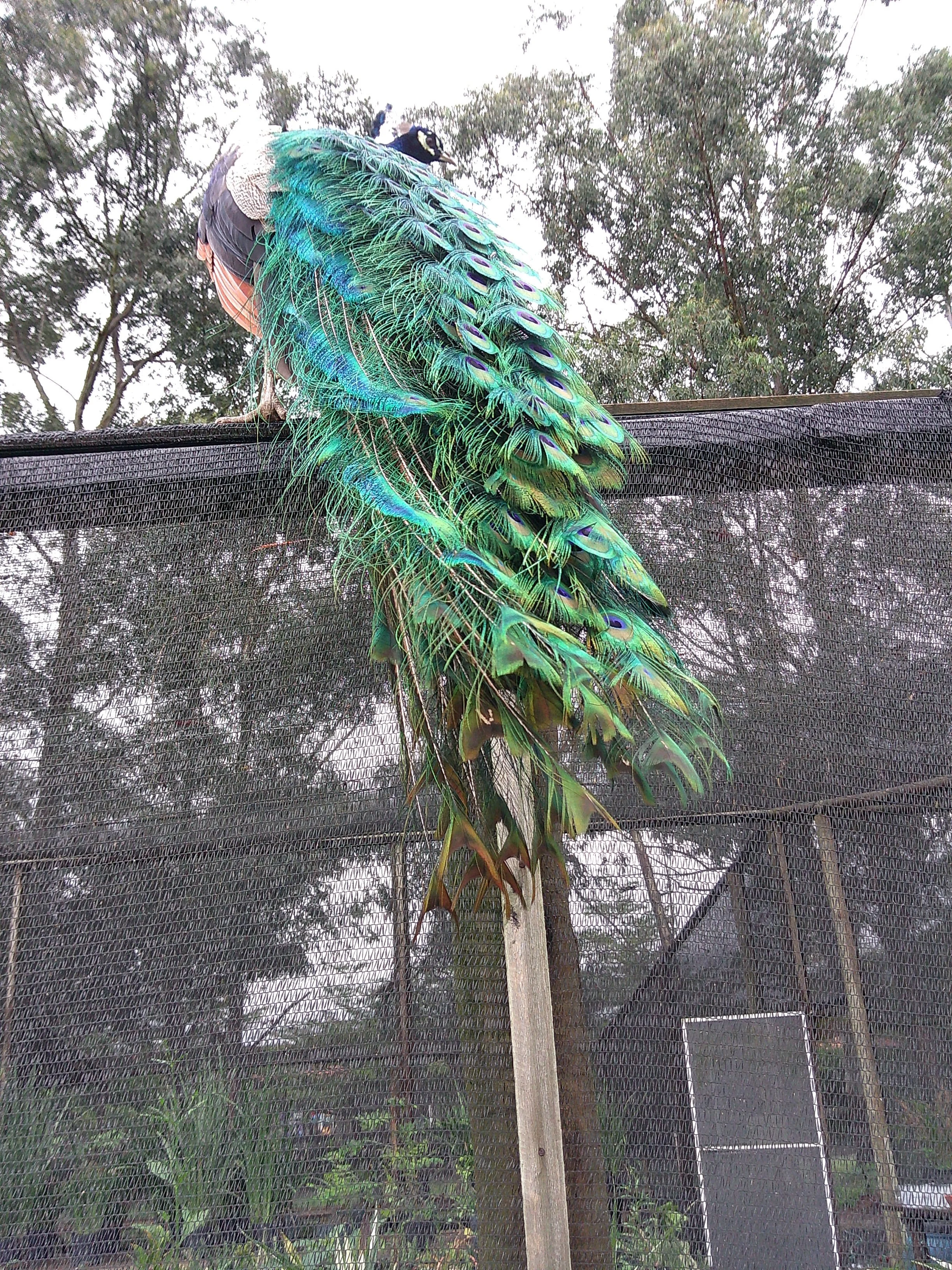 DSCF0137.JPG