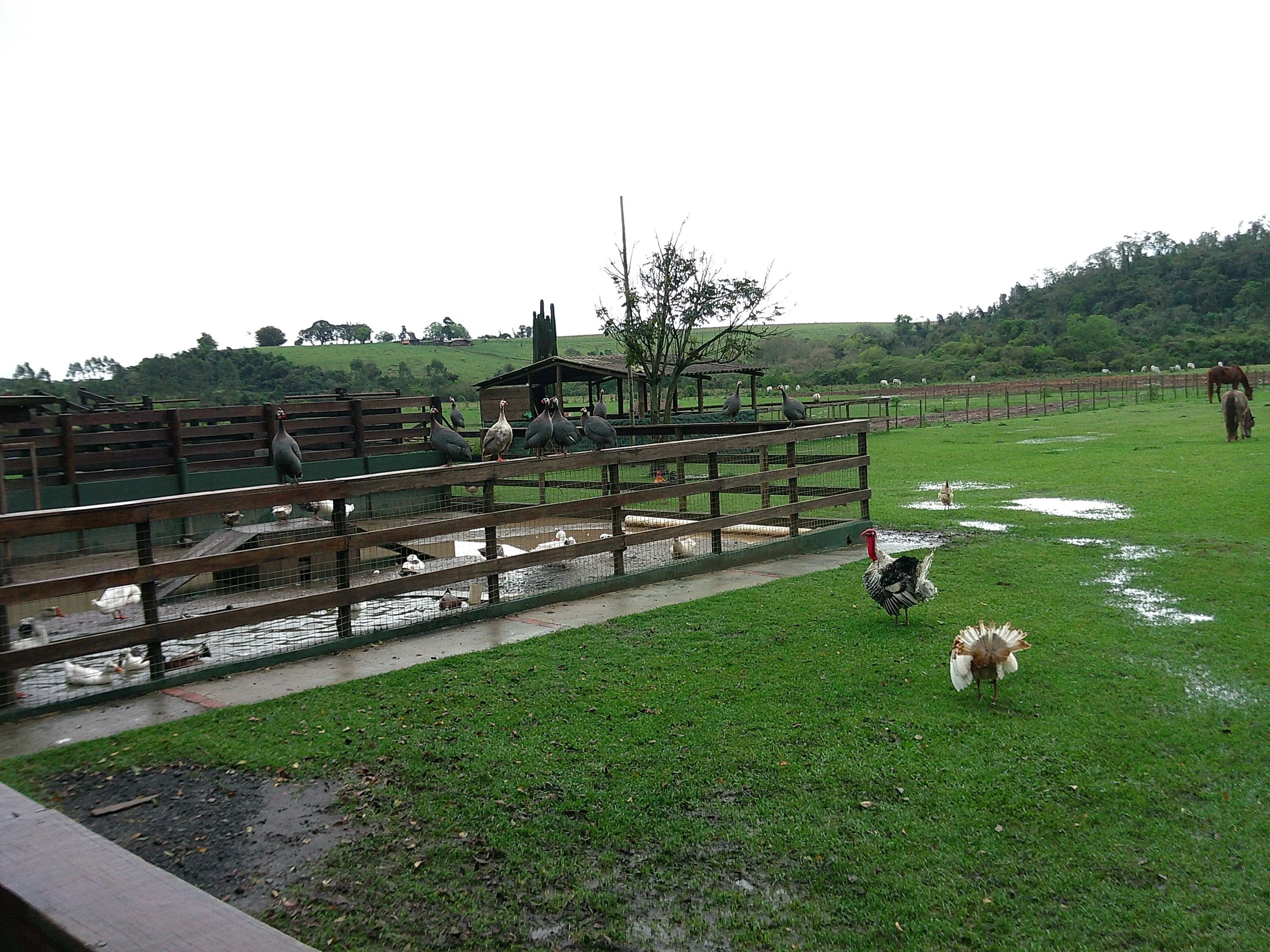 DSCF0143.JPG