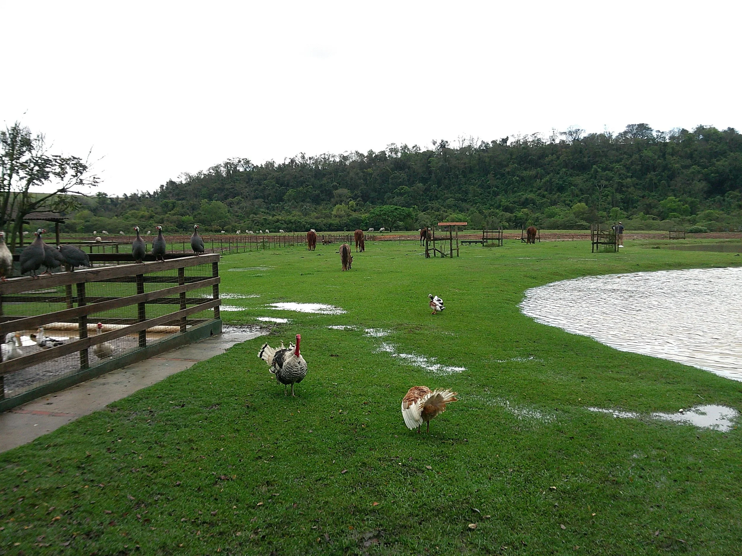 DSCF0145.JPG