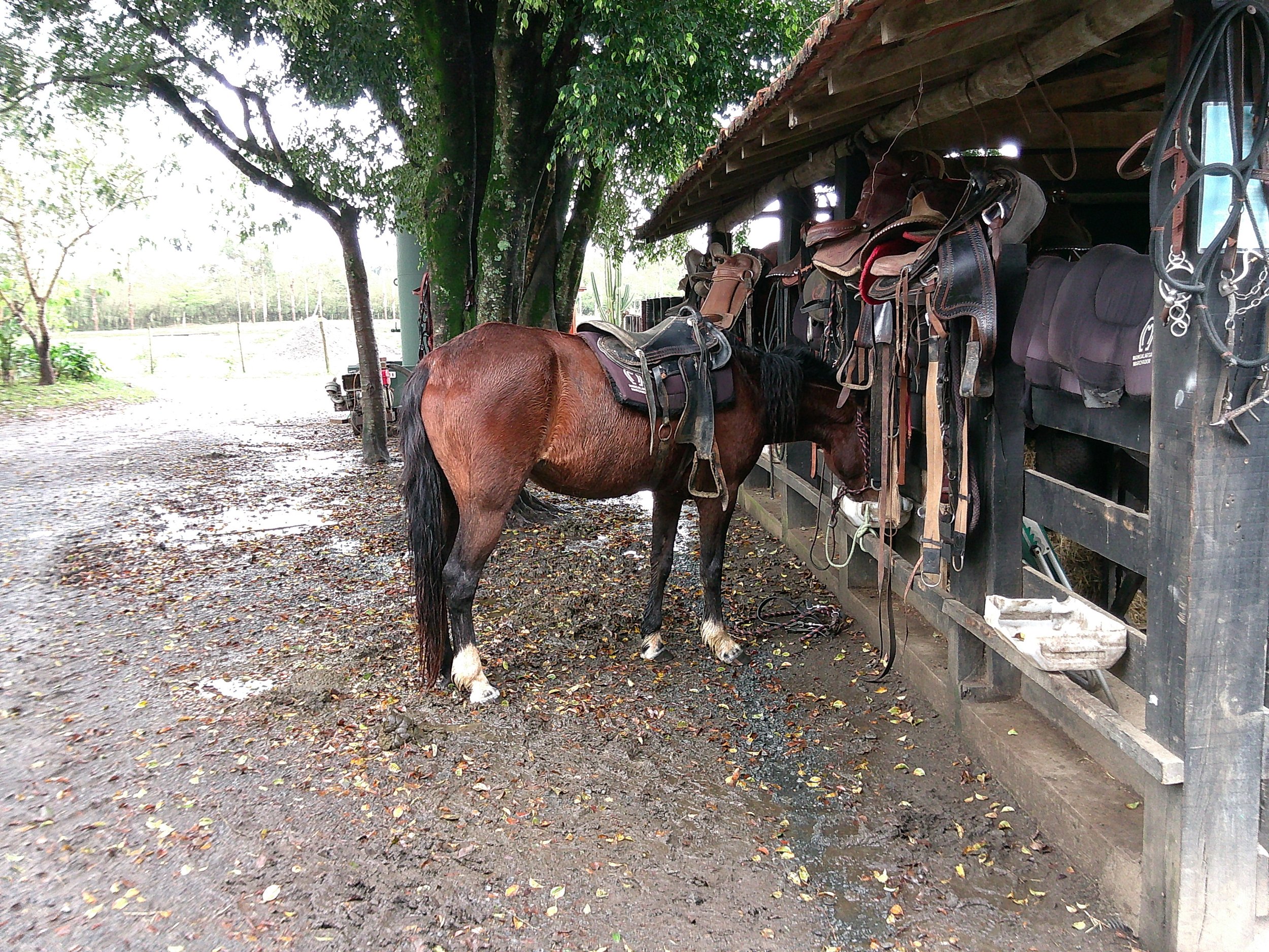 DSCF0147.JPG