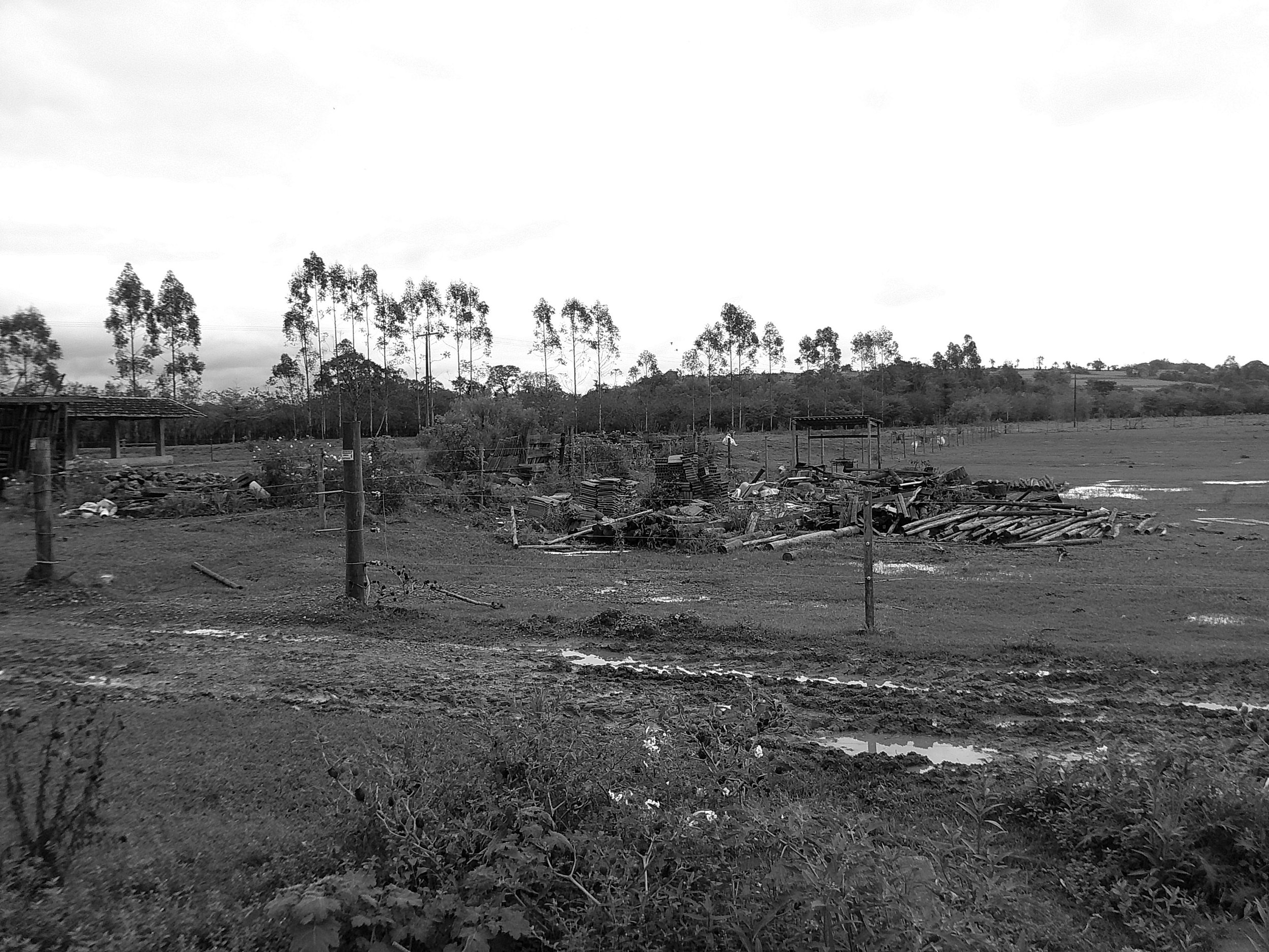DSCF0153.JPG