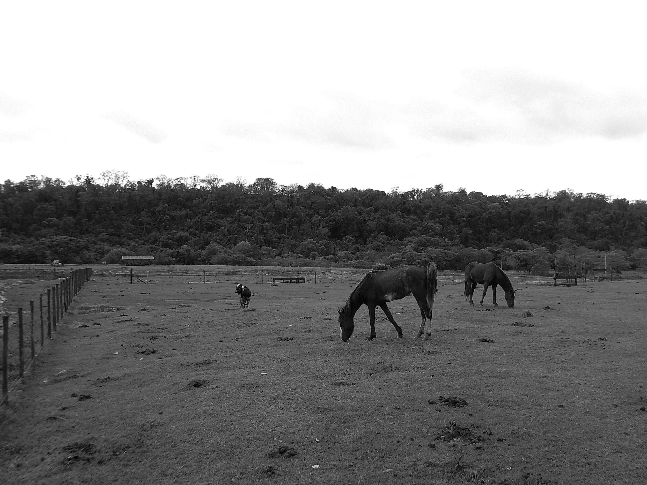 DSCF0154.JPG