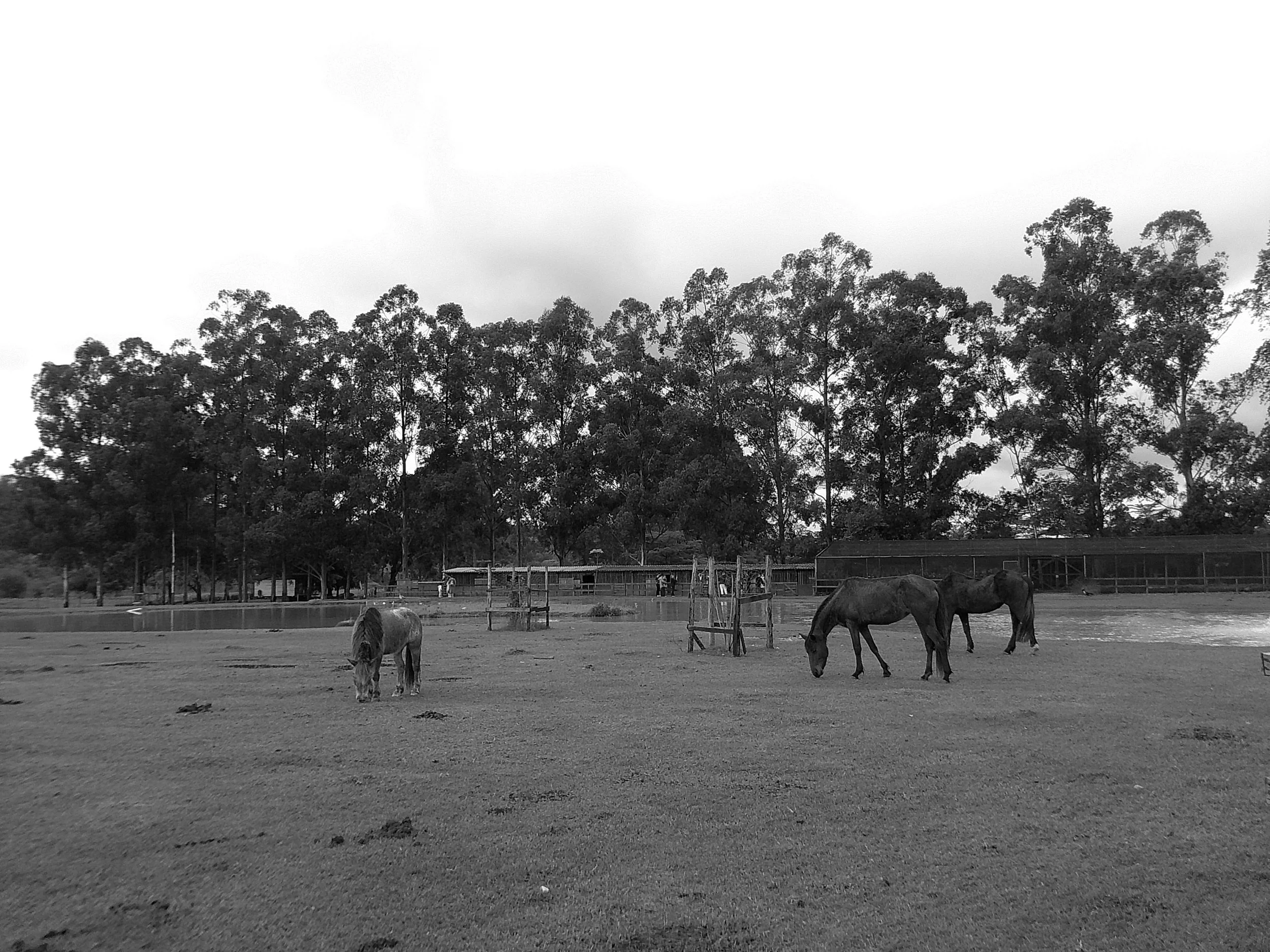 DSCF0155.JPG