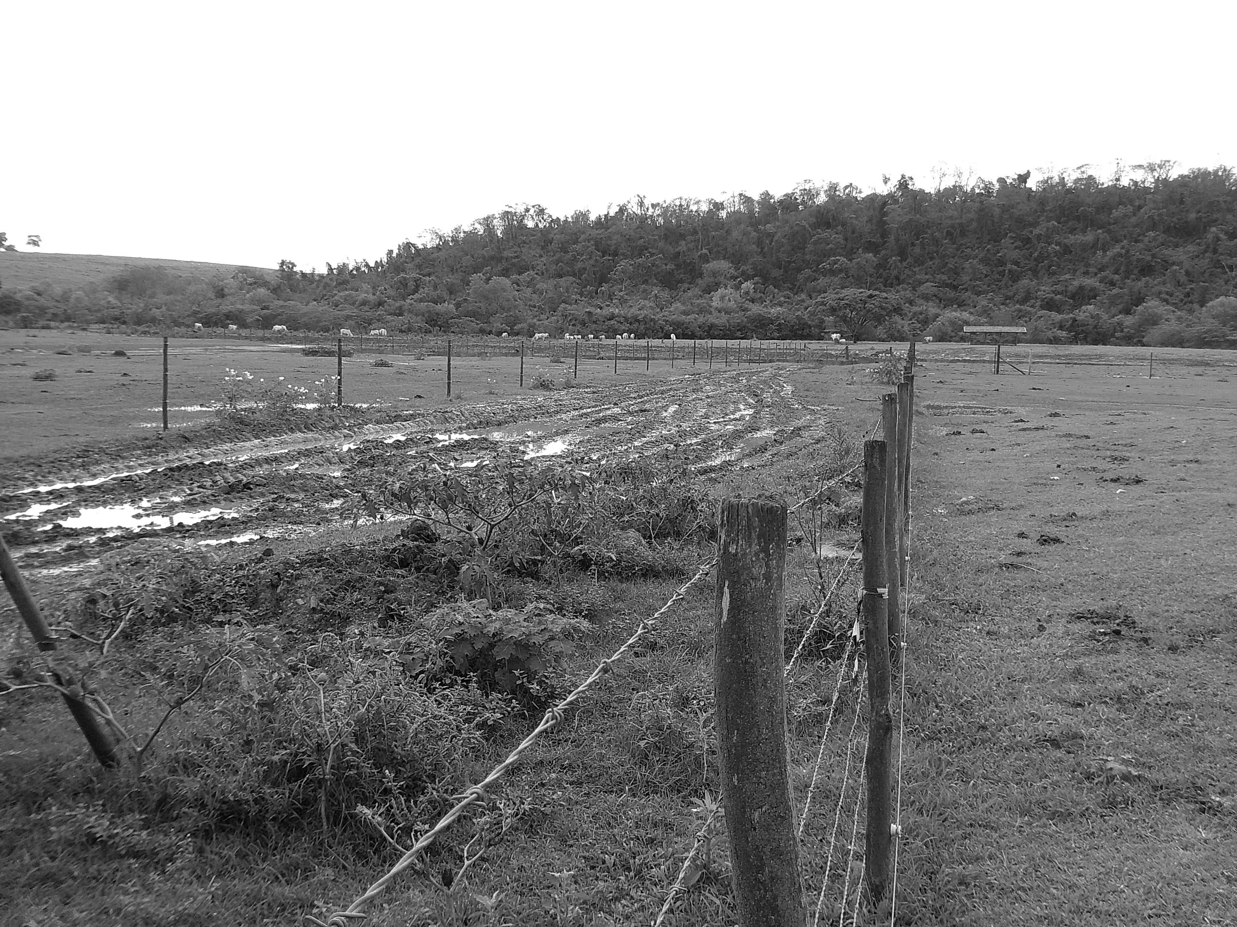 DSCF0156.JPG