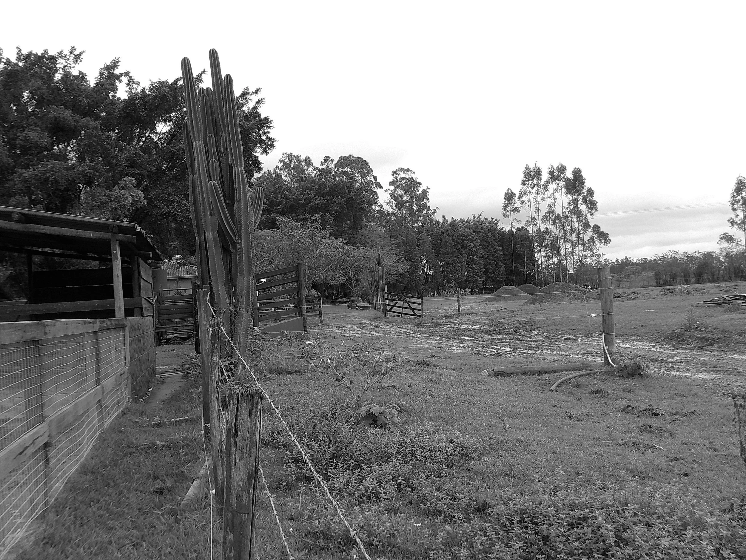 DSCF0157.JPG