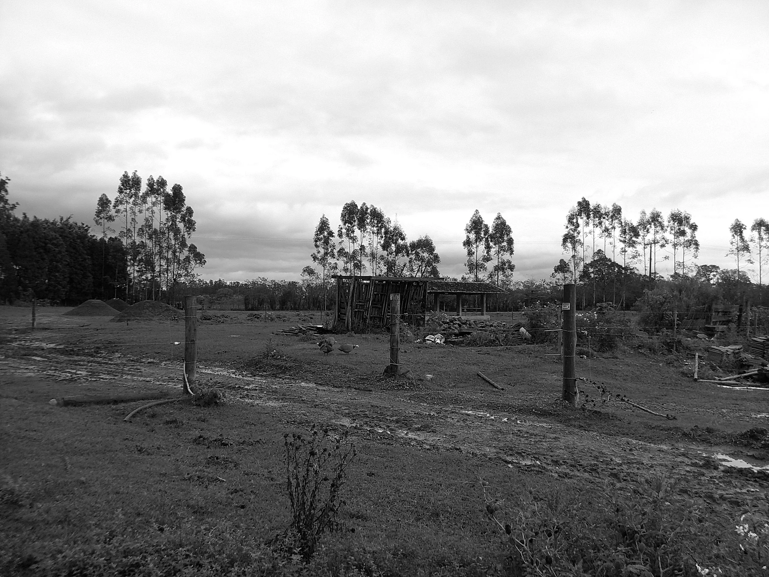 DSCF0158.JPG