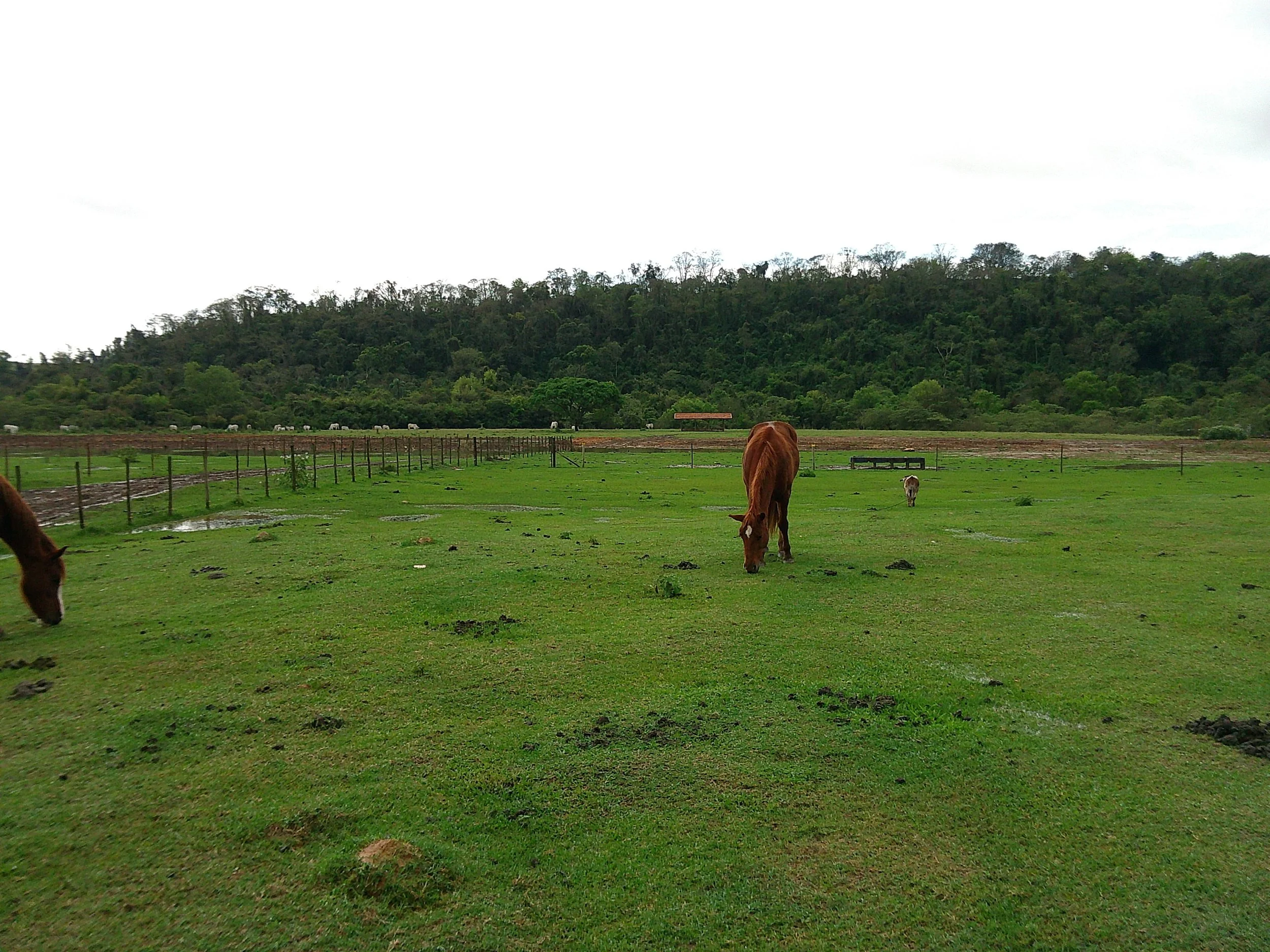 DSCF0163.JPG